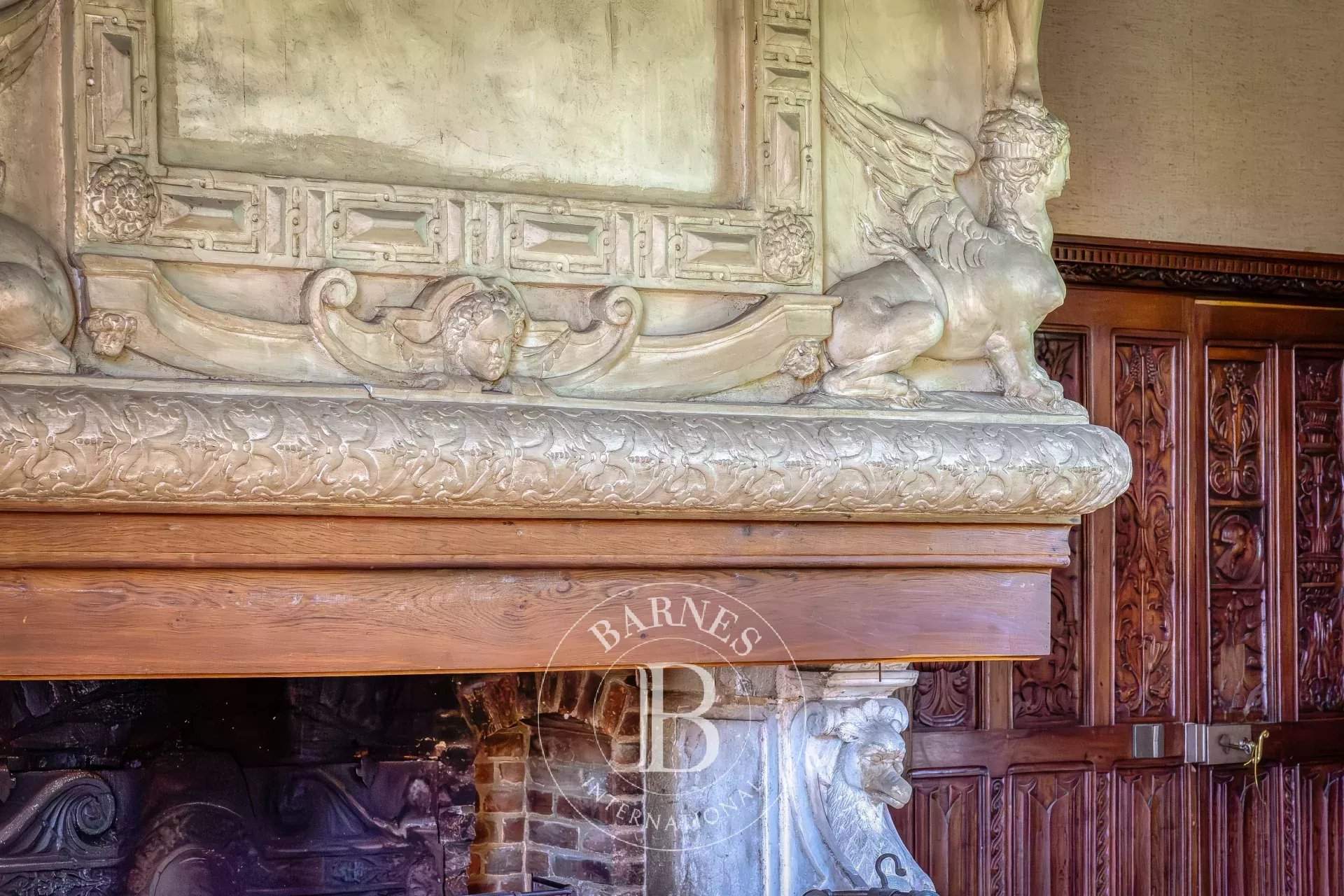 Yvetot  - Château 14 Pi&egrave;ces 7 Chambres - picture 4