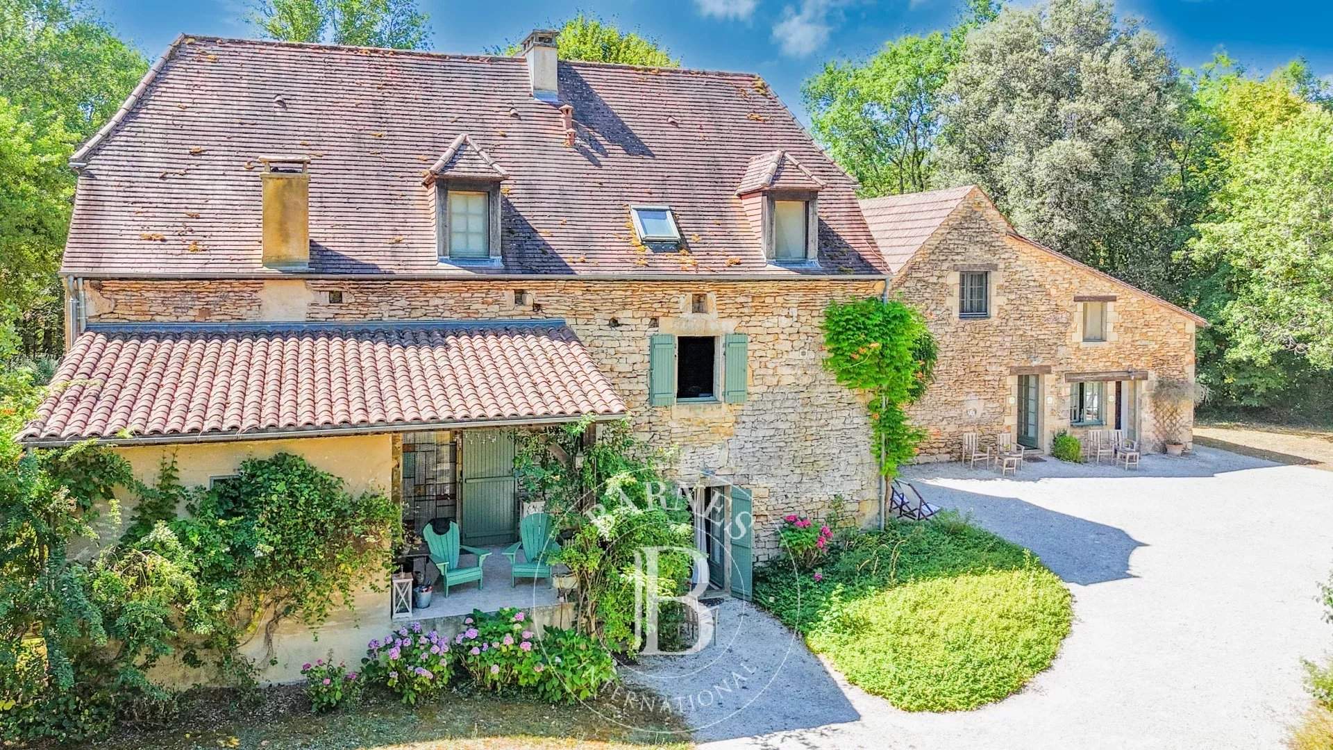 Sarlat-la-Canéda  - Property 9 Bedrooms - picture 1