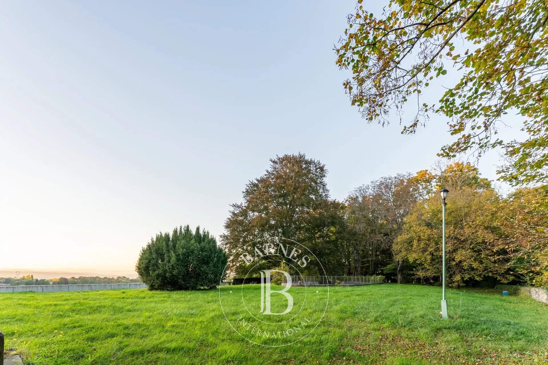 Eyzin-Pinet  - Castle  - picture 11