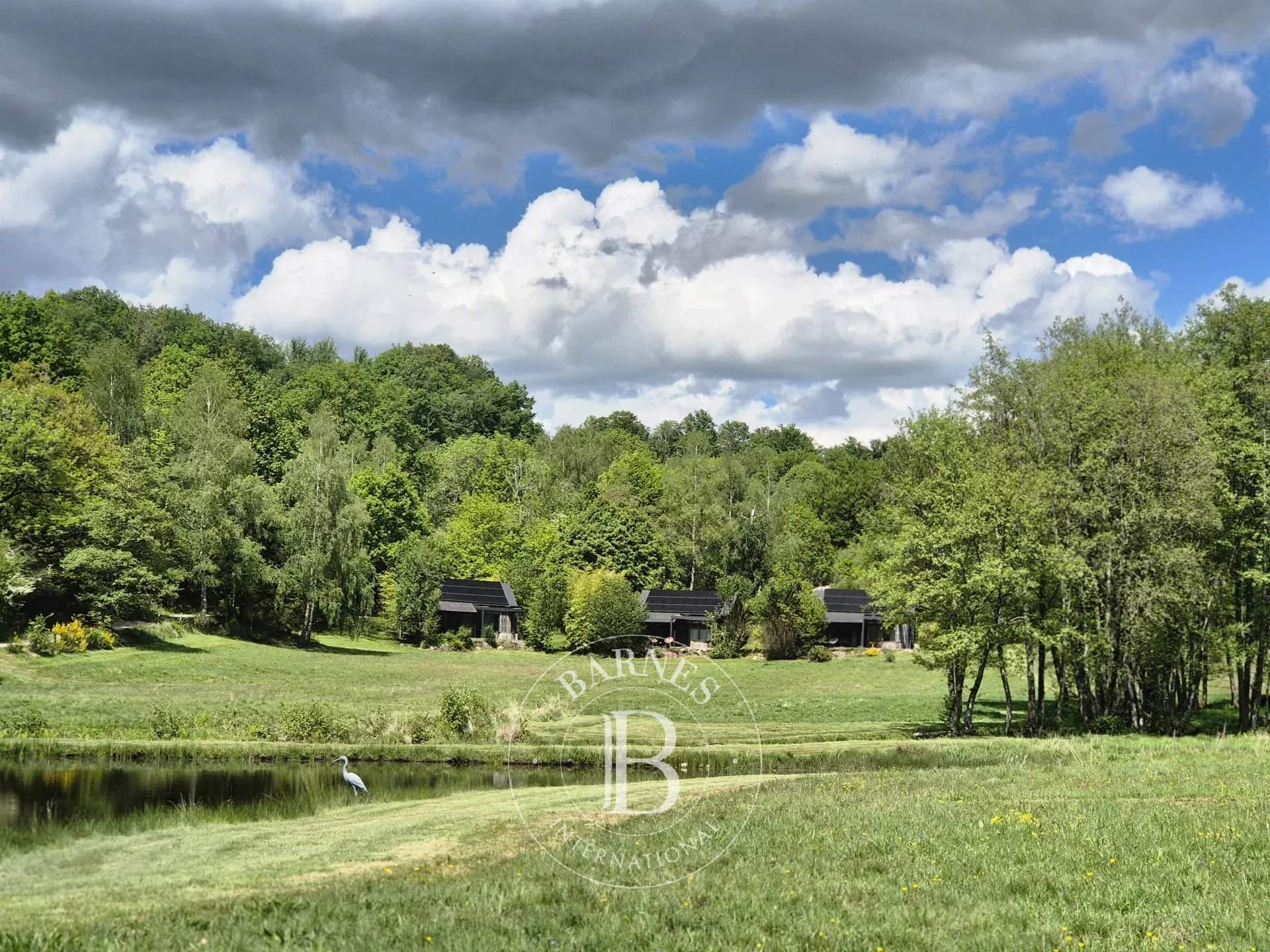 Champs-sur-Tarentaine-Marchal  - Gîte 15 Pi&egrave;ces - picture 1