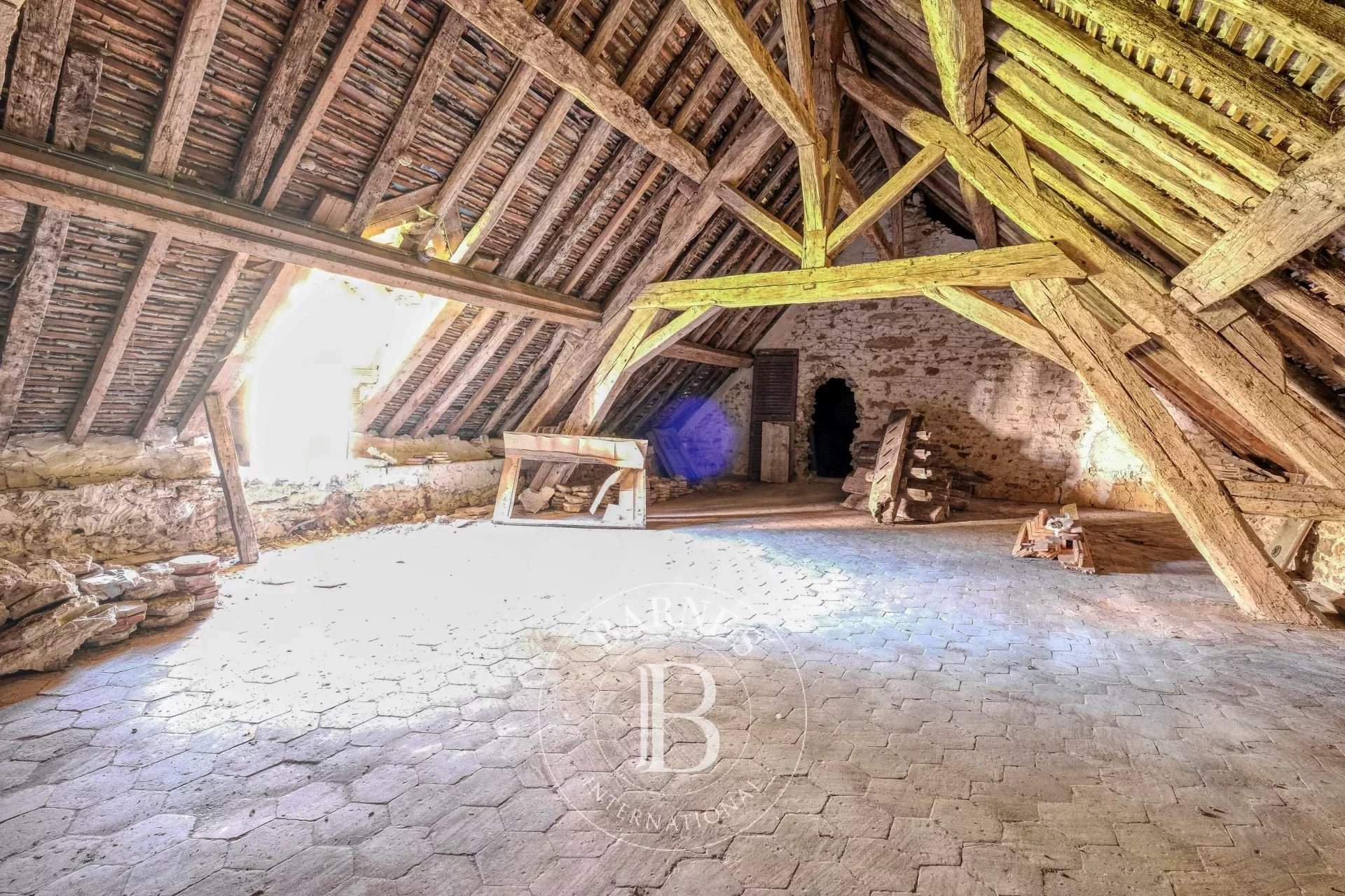 Rozay-en-Brie  - Château 10 Pi&egrave;ces 5 Chambres - picture 16