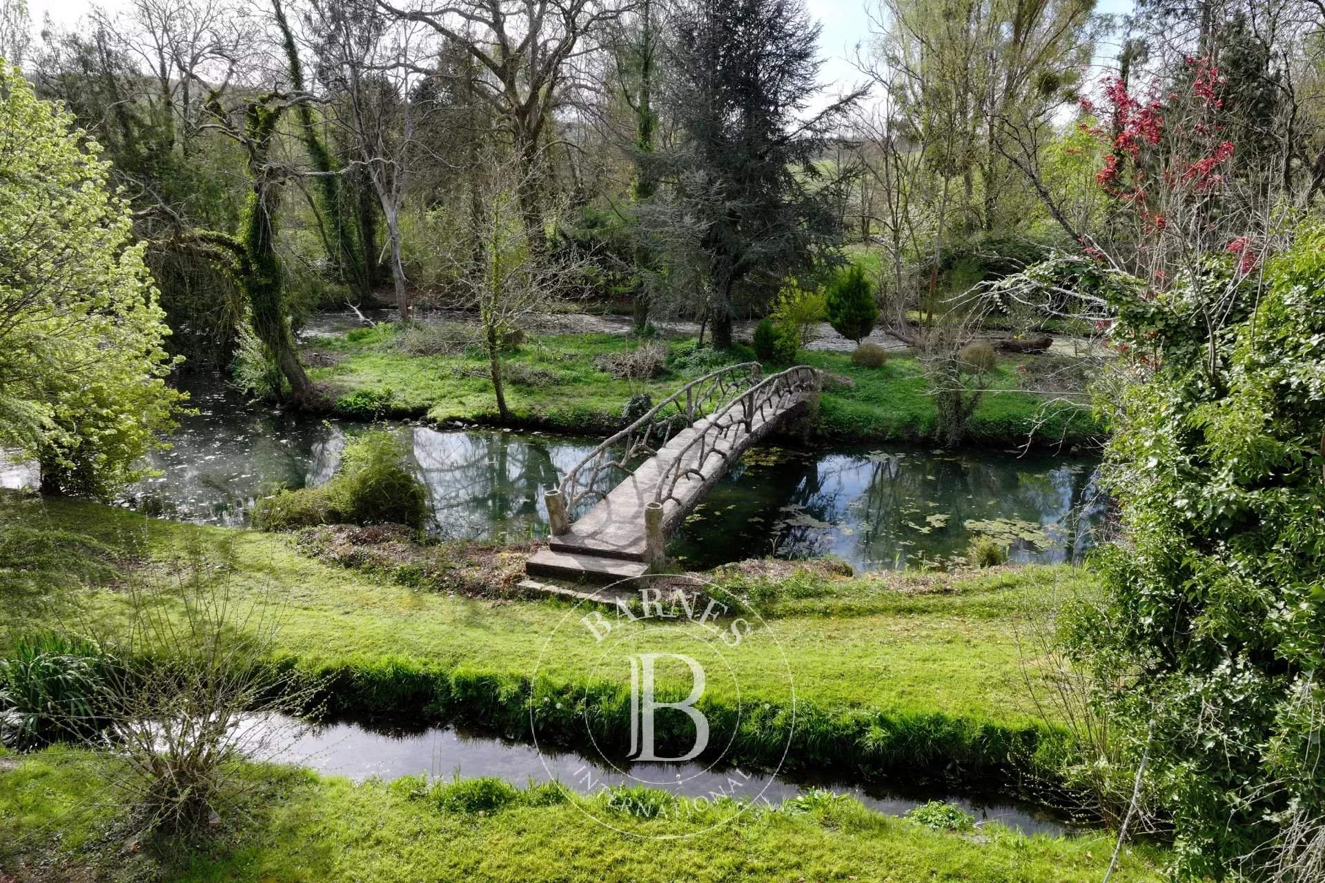 Roinville  - Manoir 12 Pi&egrave;ces 6 Chambres - picture 3