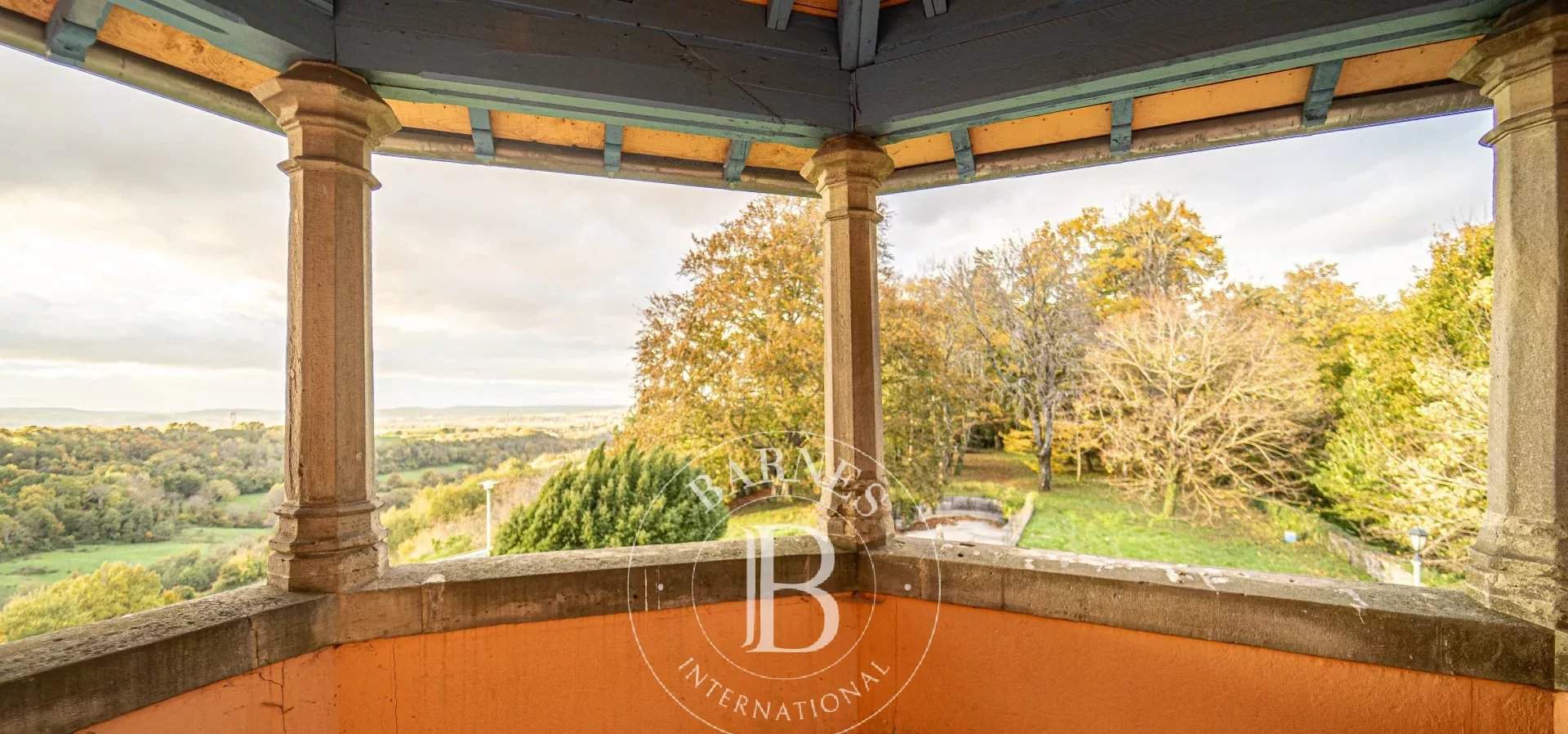 Eyzin-Pinet  - Castle  - picture 4