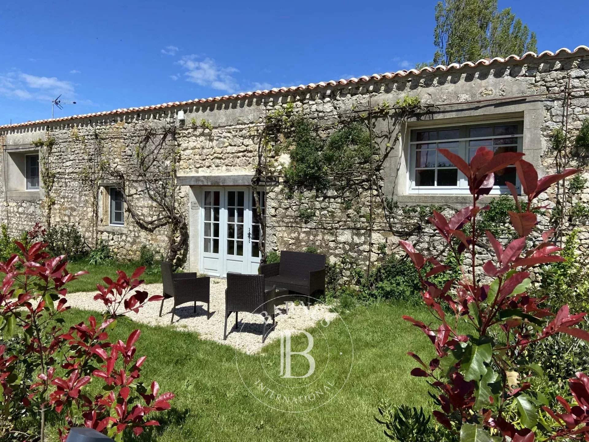 Royan  - Castle 21 Bedrooms - picture 13