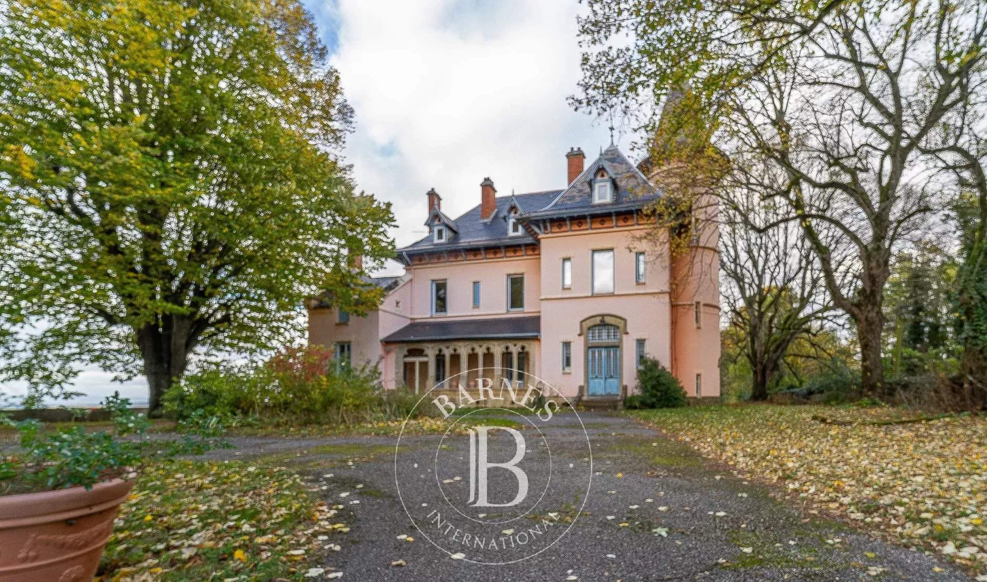 Eyzin-Pinet  - Castle  - picture 10