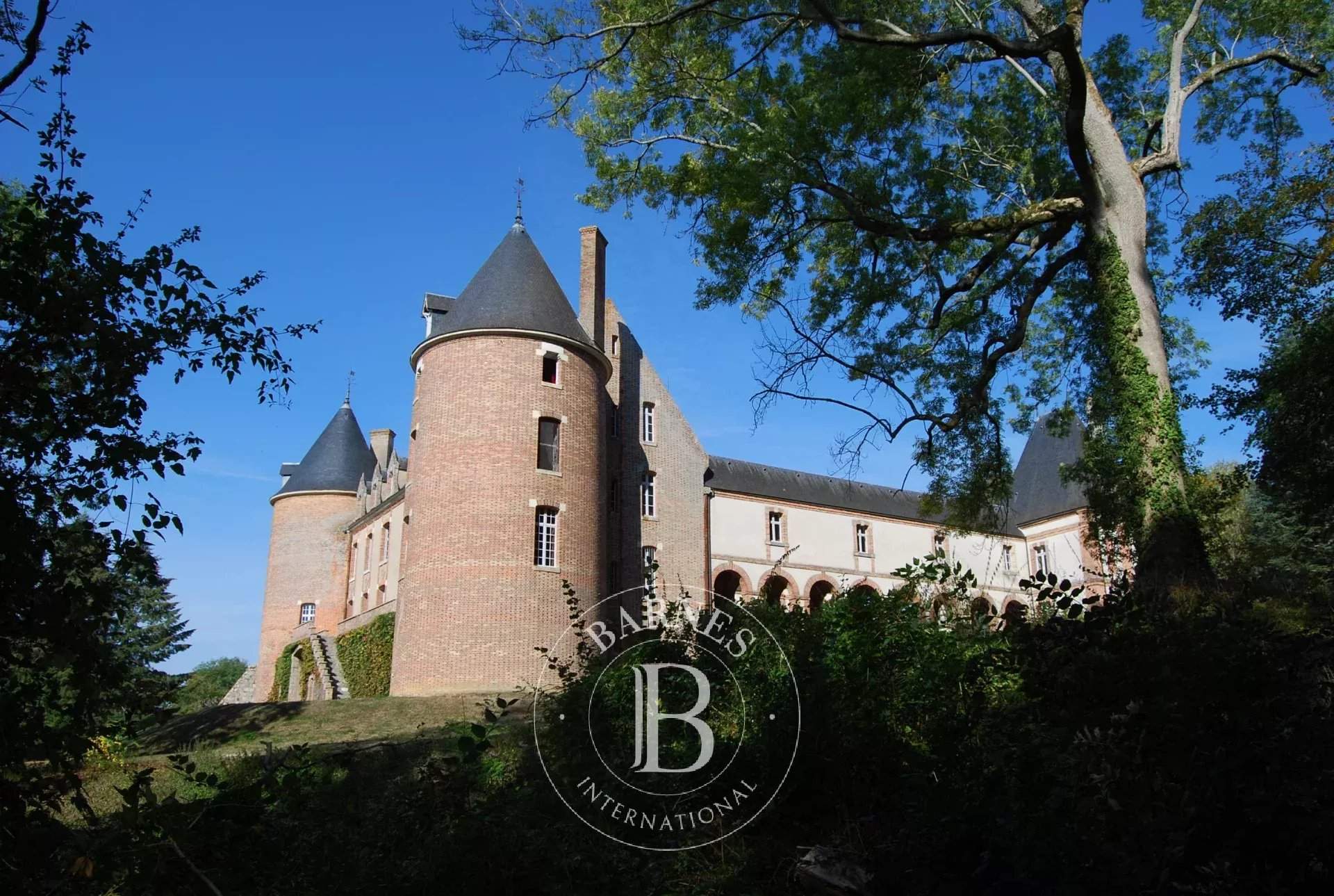 Gien  - Château 30 Pièces 20 Chambres - picture 14