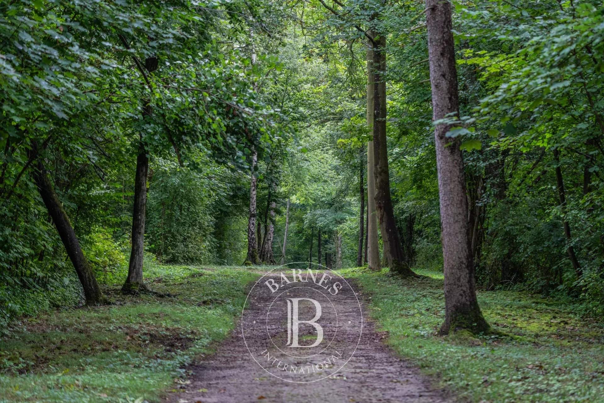 Chambors  - Finca  - picture 17