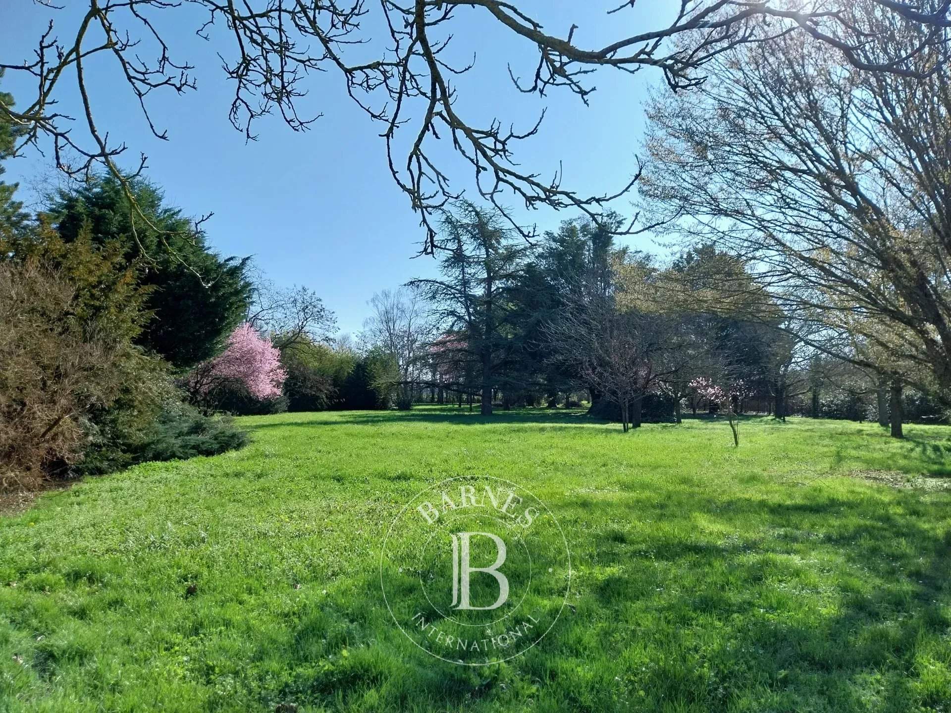 Loudun  - Maison 10 Pi&egrave;ces 7 Chambres - picture 10