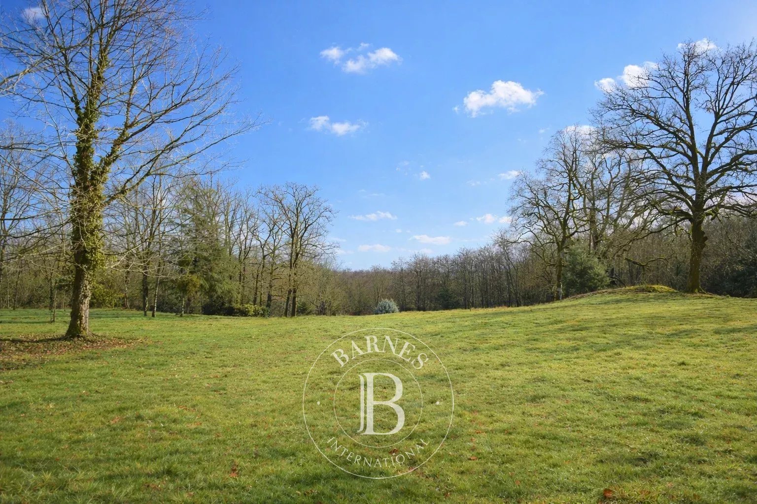 Bellac  - Manoir 15 Pi&egrave;ces 8 Chambres - picture 10