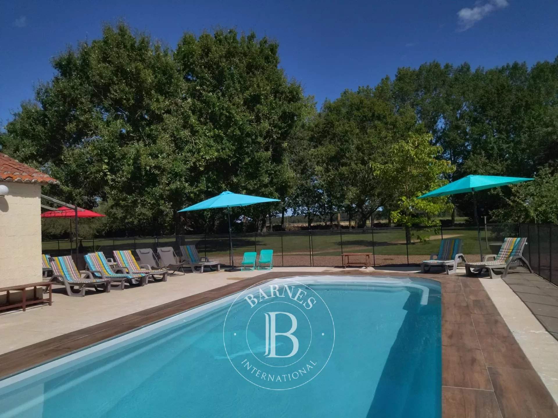 Chinon  - Château 17 Pi&egrave;ces 9 Chambres - picture 11