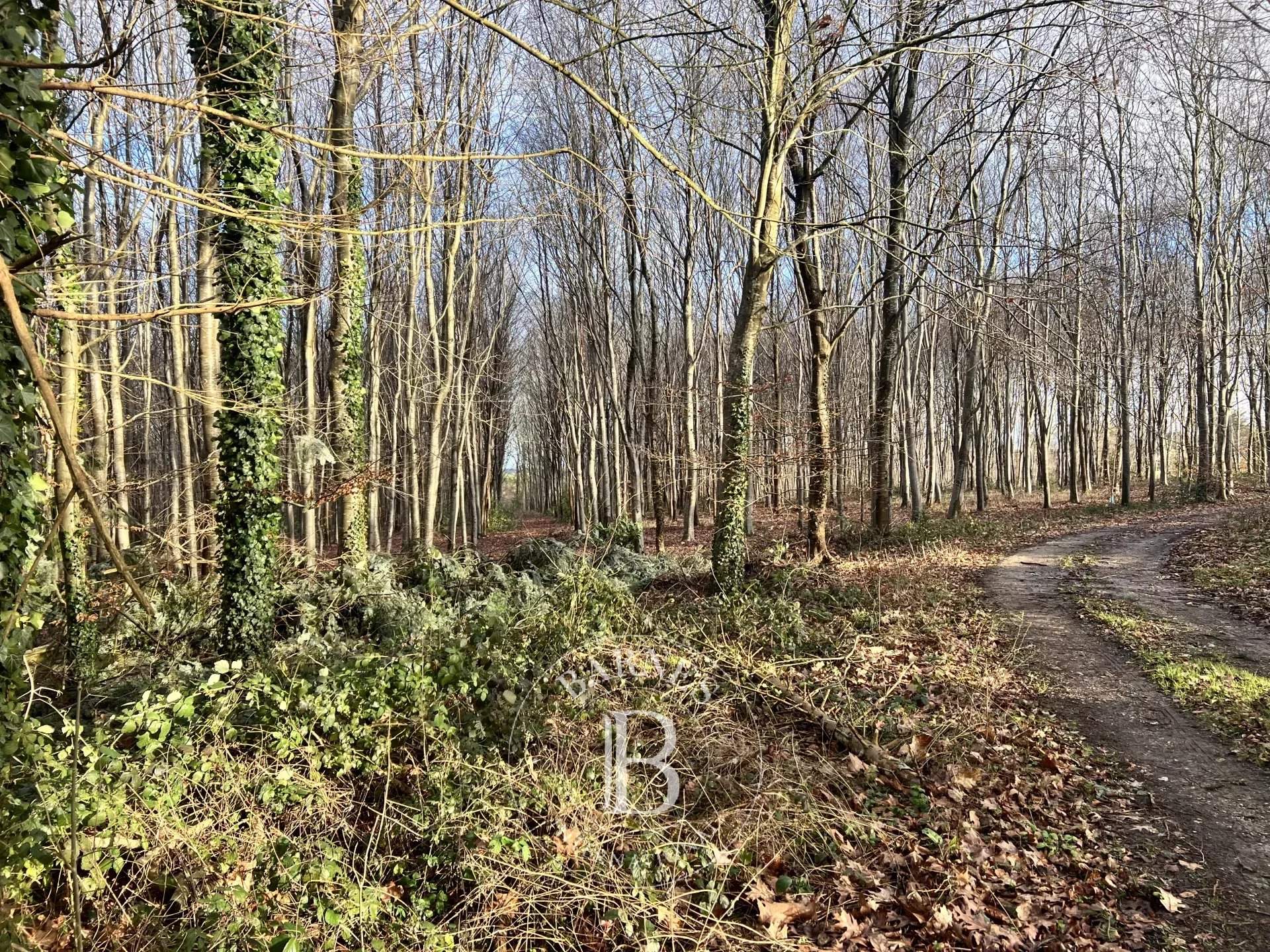 Rouen  - Domaine de chasse  - picture 1