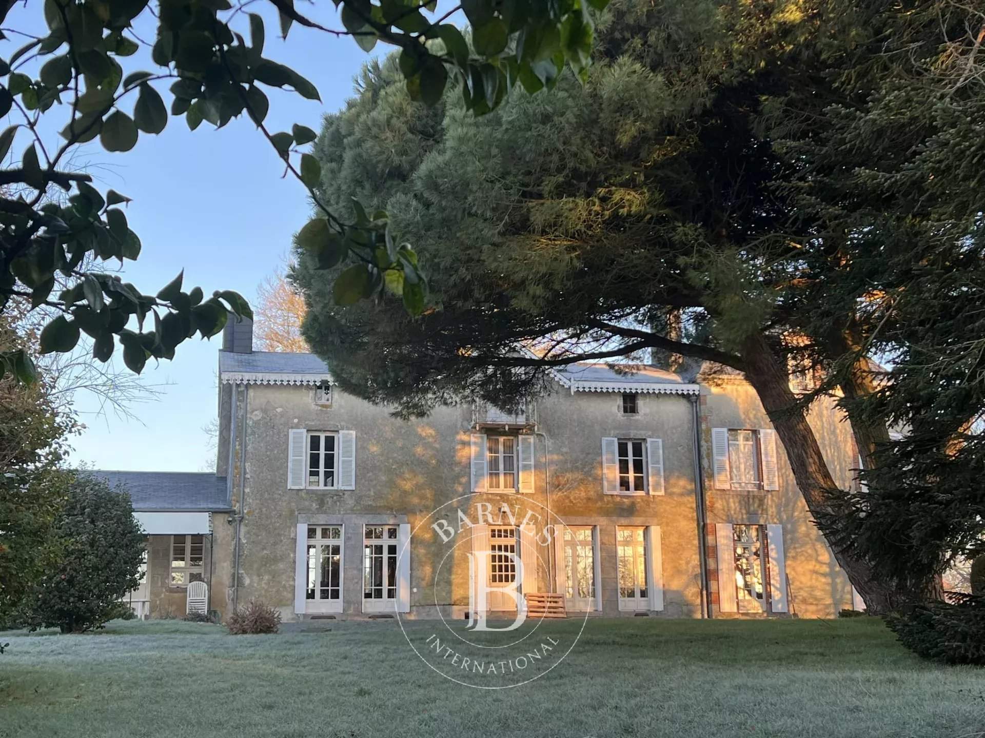 Pouzauges  - Manoir 10 Pi&egrave;ces 5 Chambres - picture 9