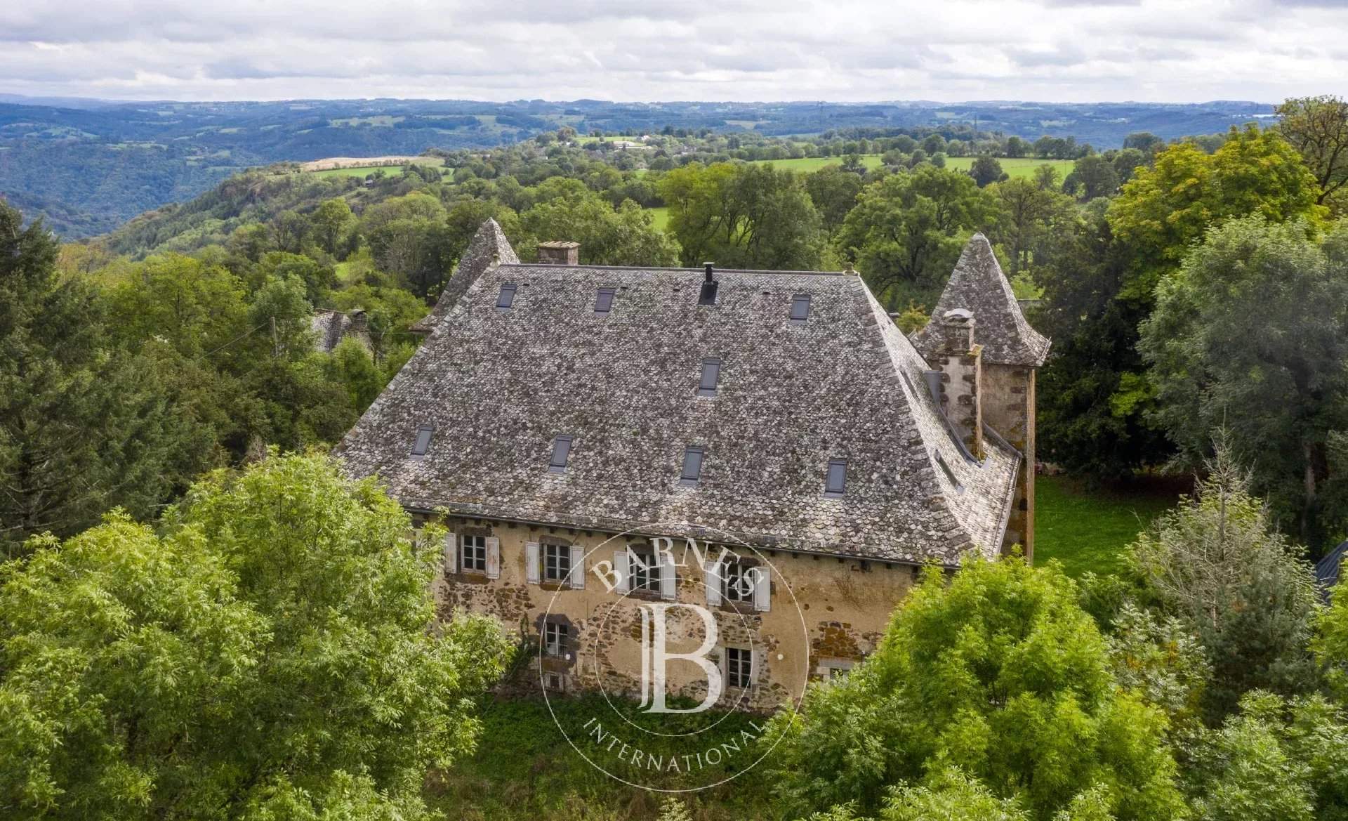 Mur-de-Barrez  - Château 13 Pi&egrave;ces 10 Chambres - picture 3