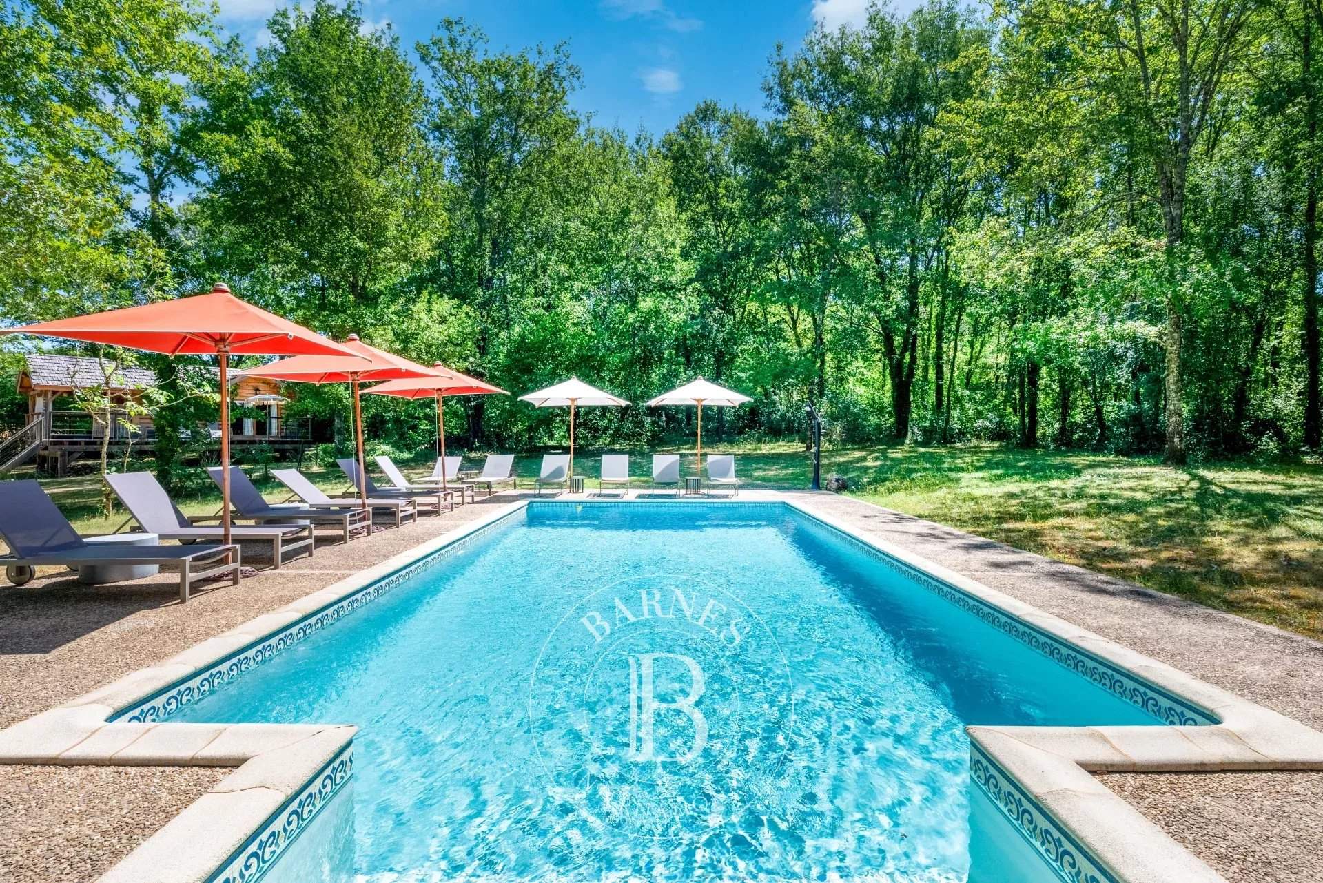 Sarlat-la-Canéda  - Property 9 Bedrooms - picture 17