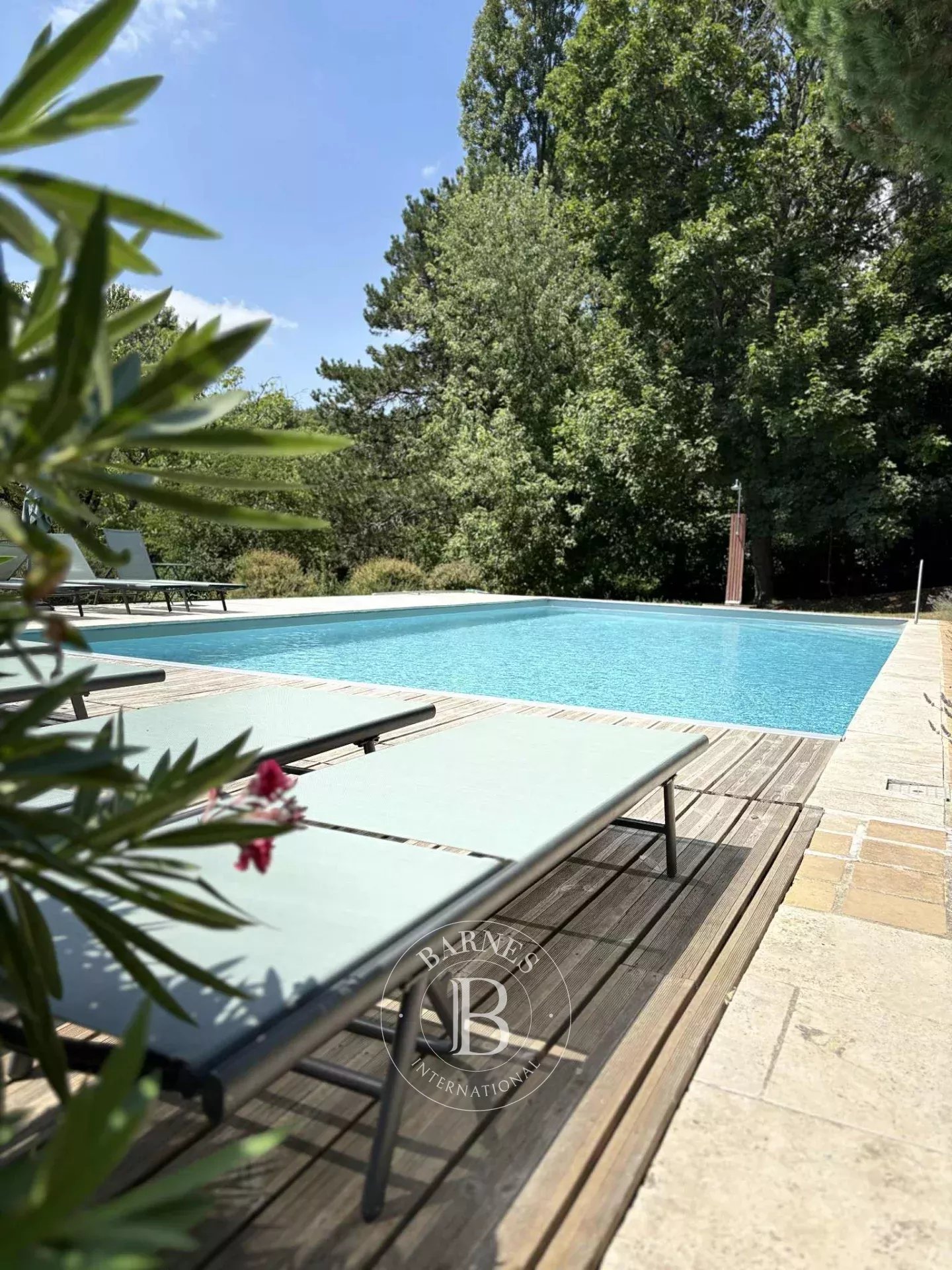 Moulidars  - Property  - picture 10