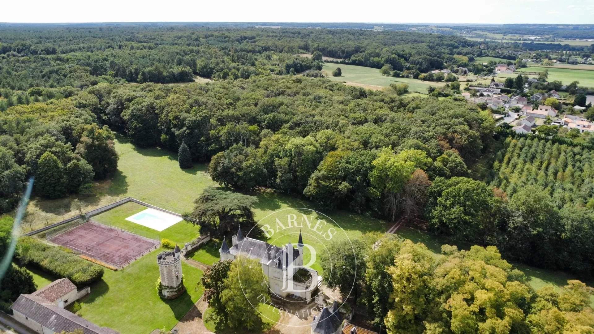 Châtellerault  - Castle 9 Bedrooms - picture 12