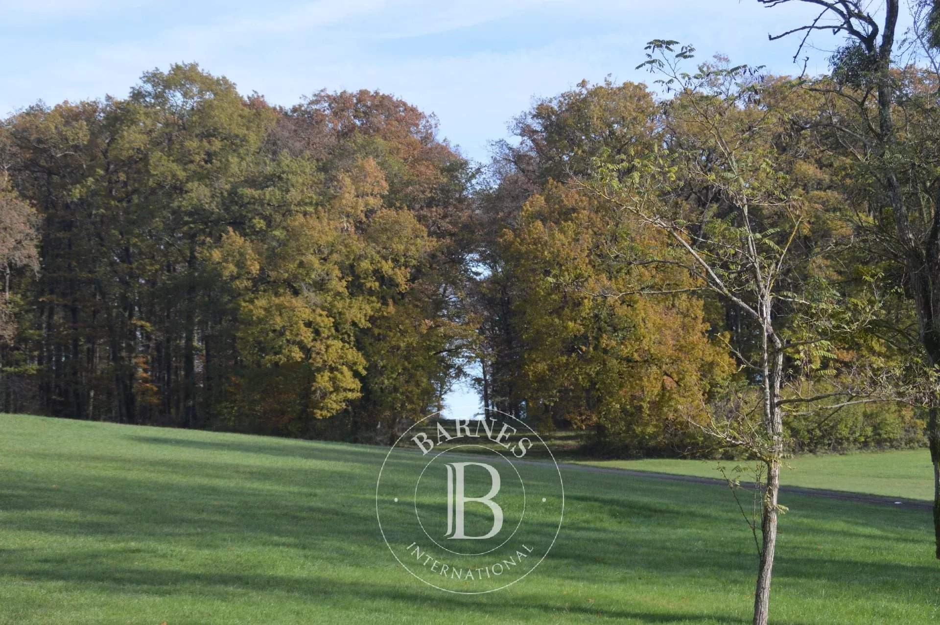 Poitiers  - Château 22 Pièces 12 Chambres - picture 8