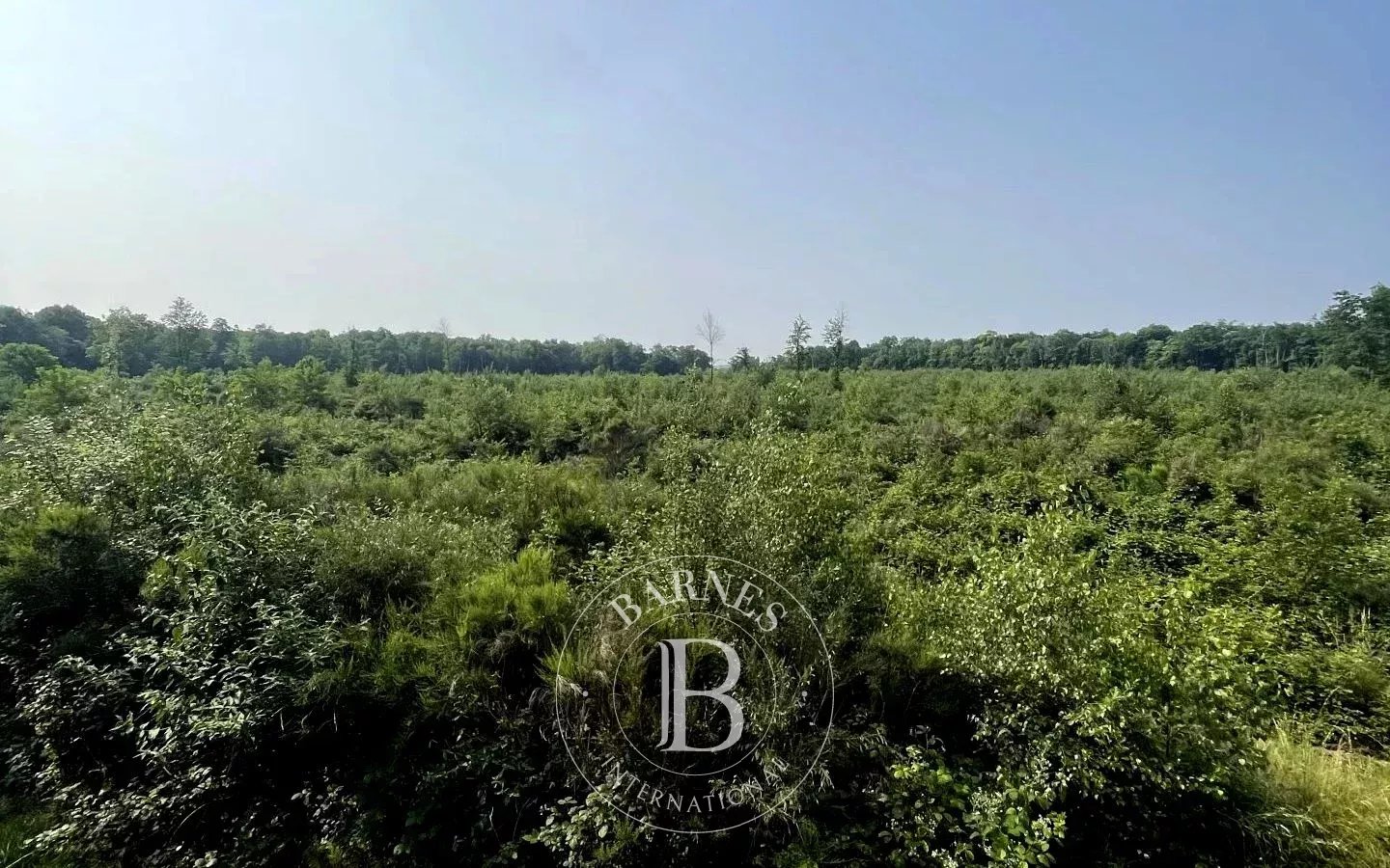 Mionnay  - Game reserve  - picture 5