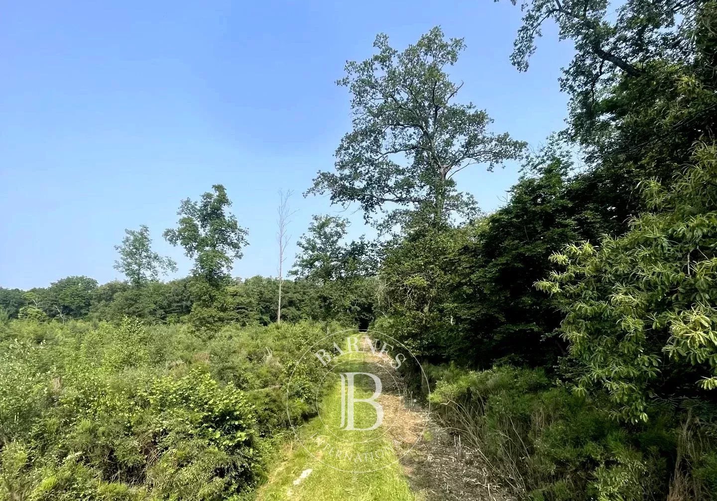 Mionnay  - Game reserve  - picture 4