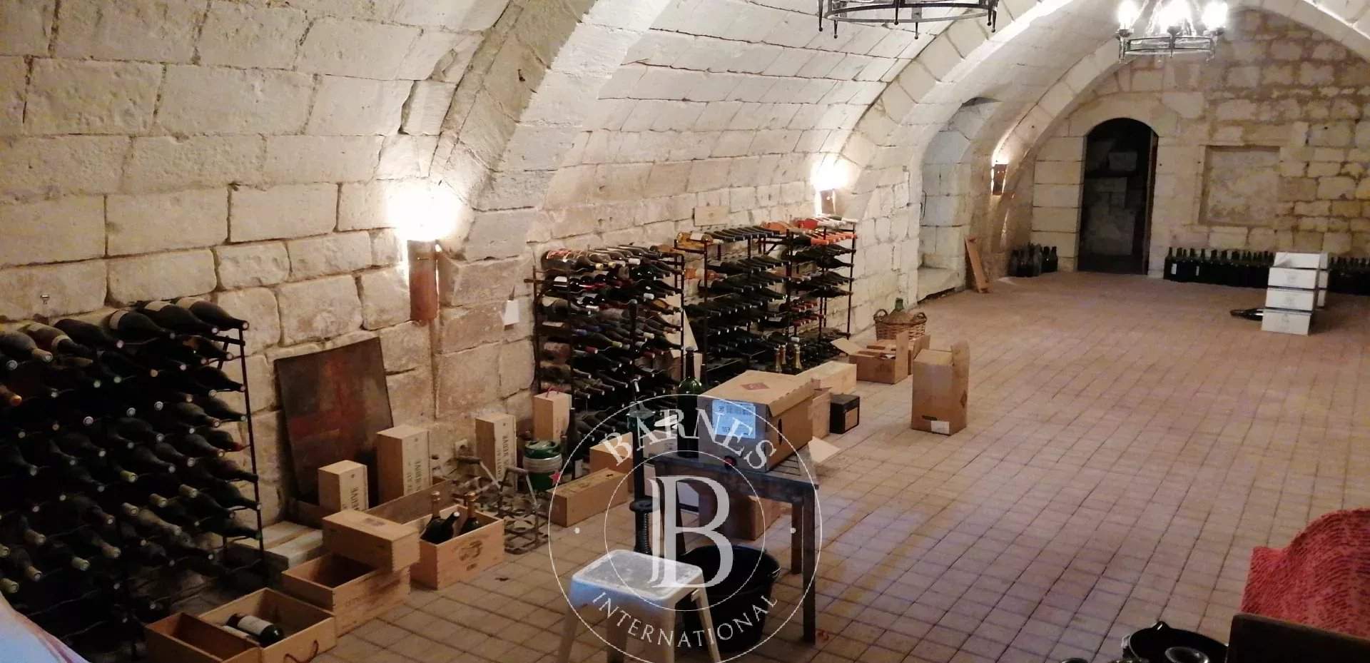 Chinon  - Château 17 Pi&egrave;ces 9 Chambres - picture 20