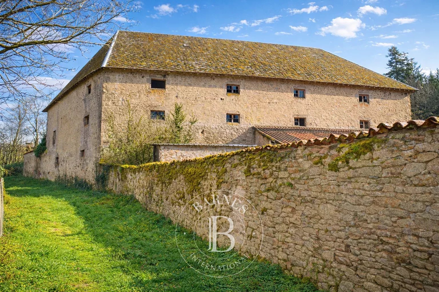 Bellac  - Manoir 15 Pi&egrave;ces 8 Chambres - picture 9