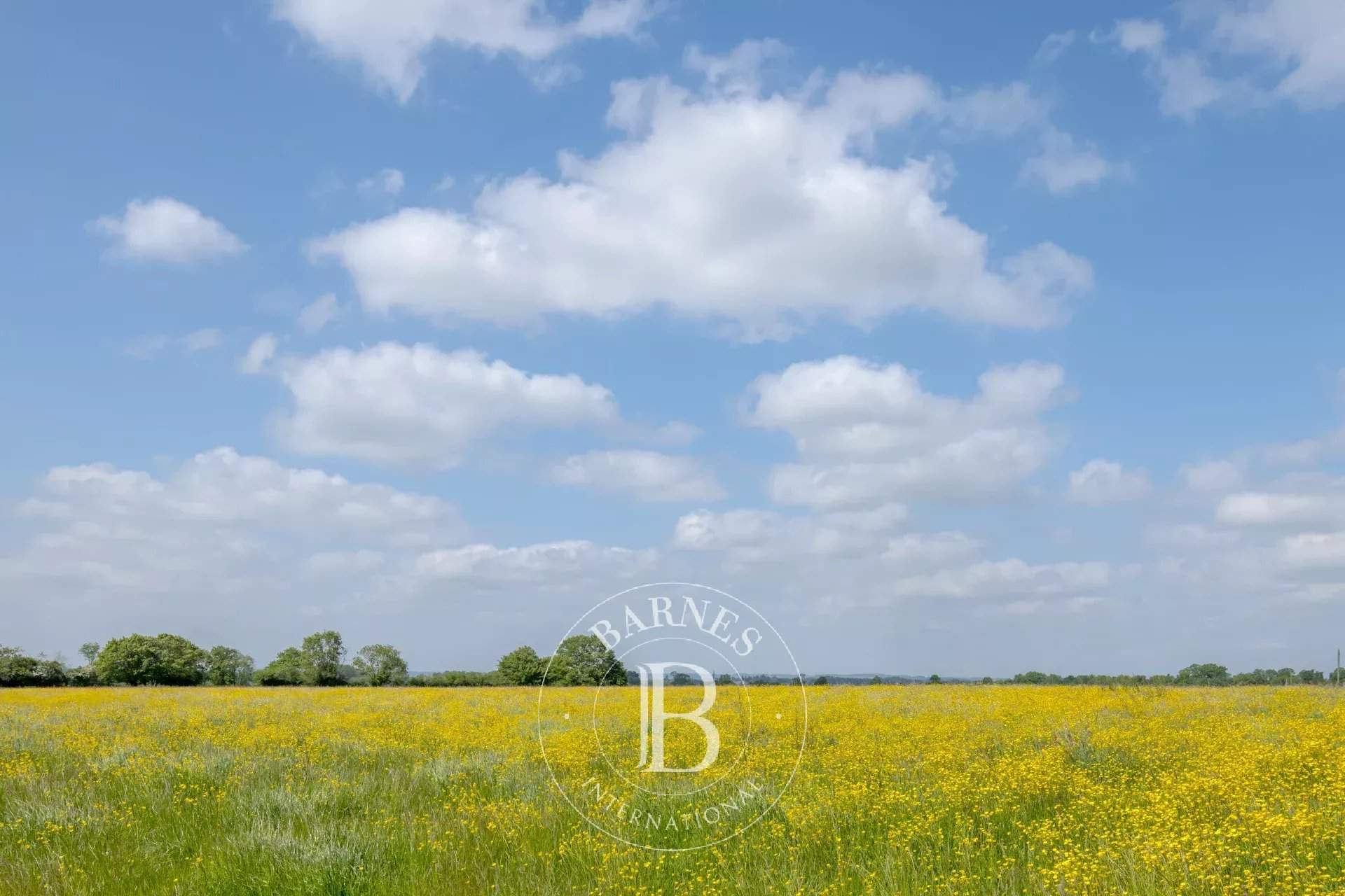 Forges-les-Eaux  - Property 5 Bedrooms - picture 19