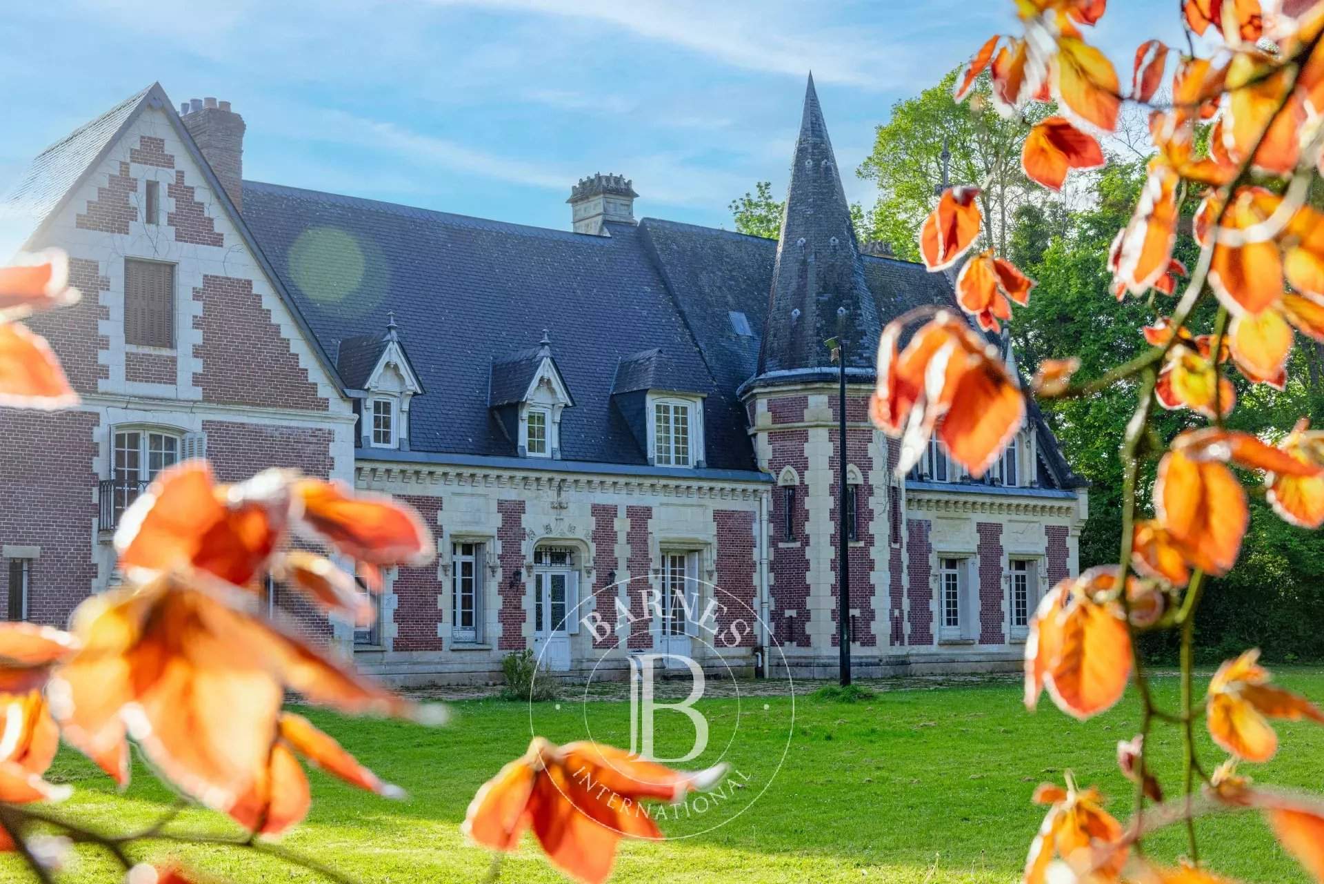 Saint-Ouen-de-Thouberville  - Manoir 15 Pièces 6 Chambres - picture 2