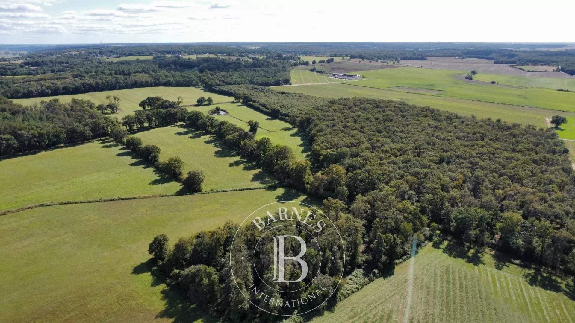 Châtellerault  - Castle 13 Bedrooms - picture 7