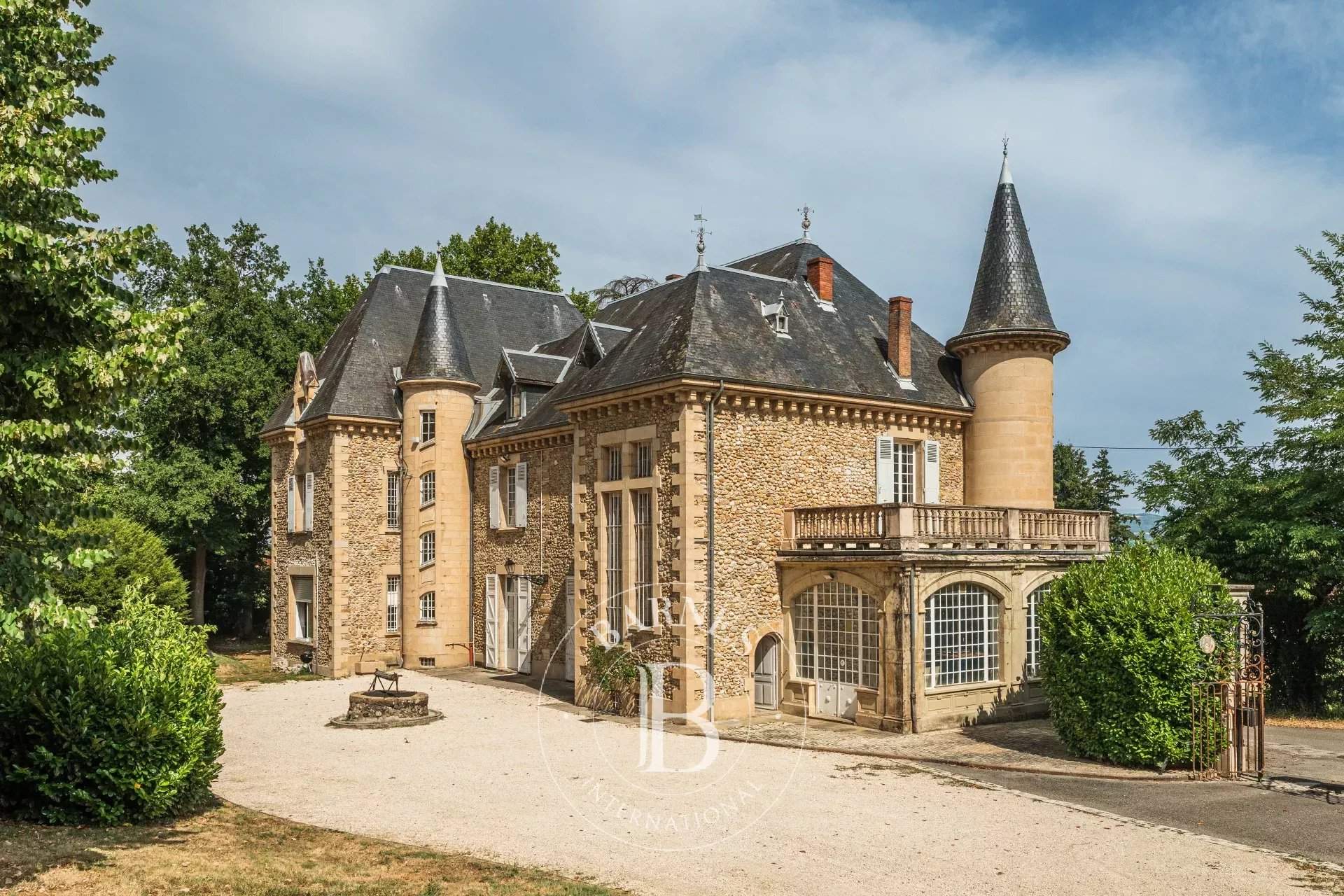 Marcilloles  - Château 17 Pi&egrave;ces 5 Chambres - picture 19