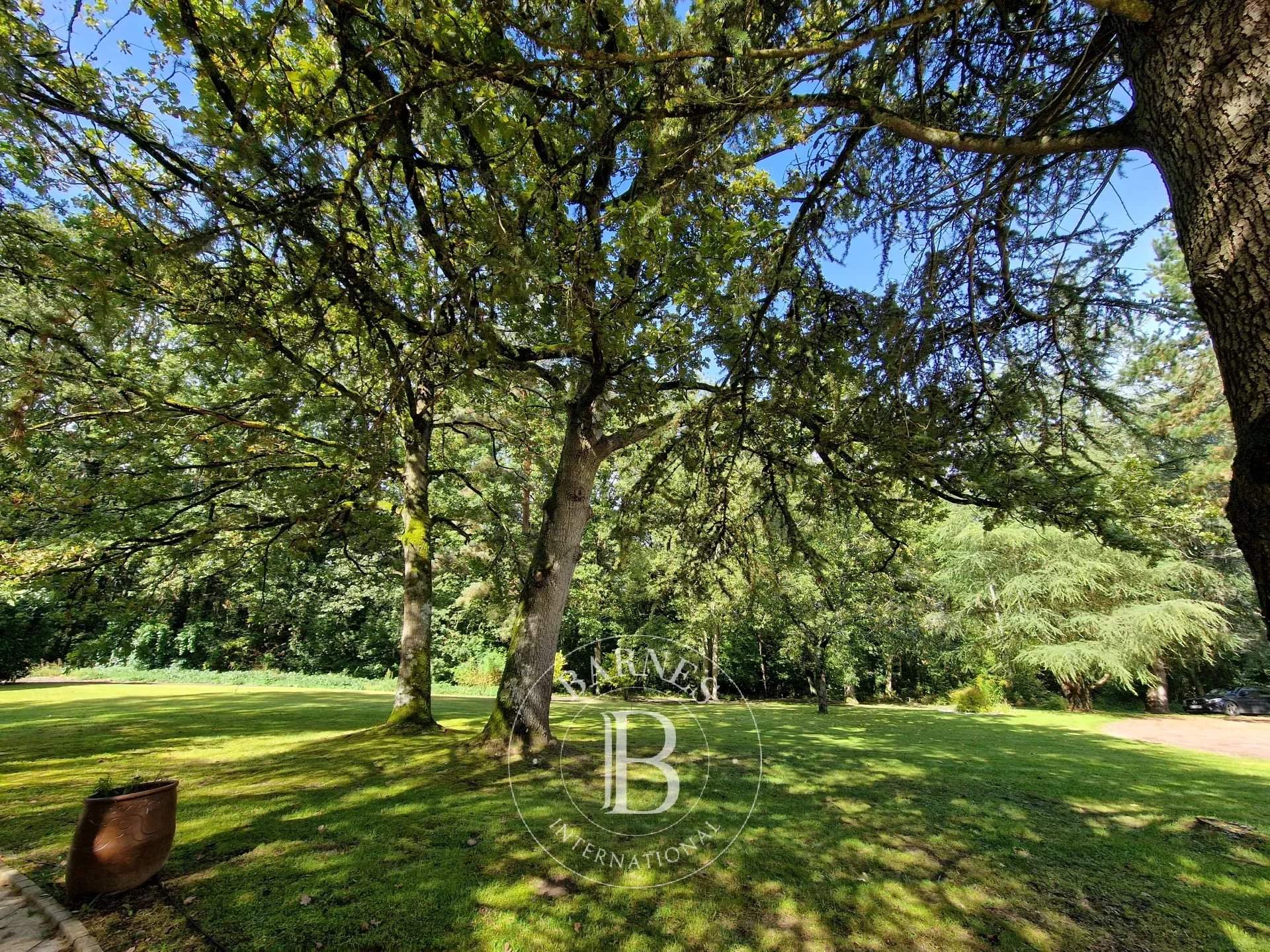 Rochefort-en-Yvelines  - Maison 15 Pièces 7 Chambres - picture 20