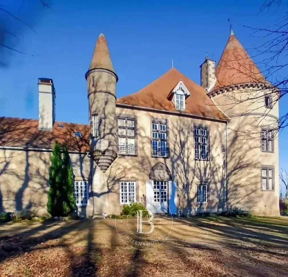 Blot-l'Église  - Château  - picture 5