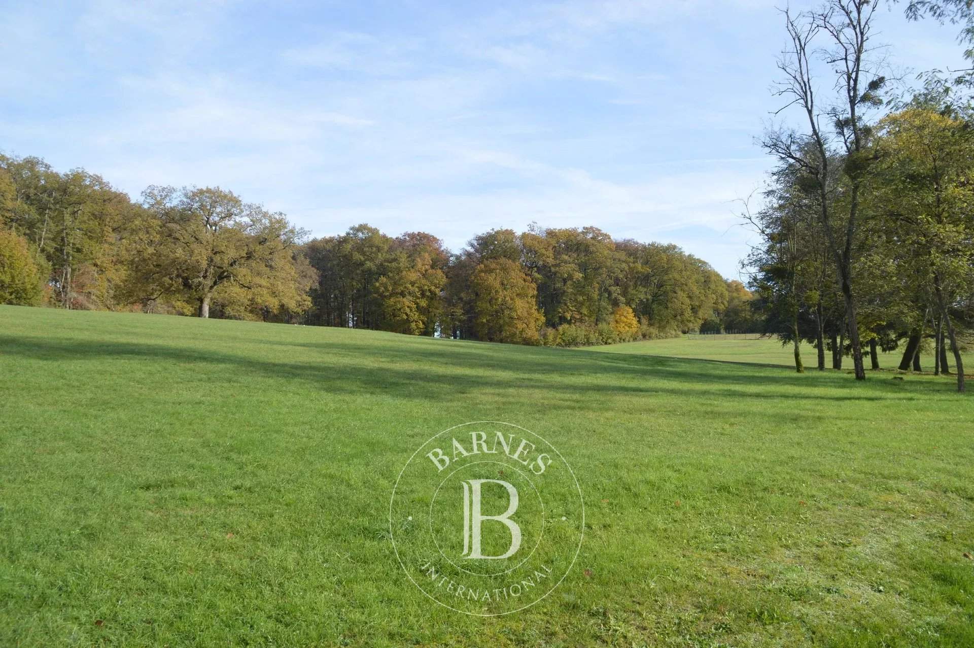 Poitiers  - Château 22 Pièces 12 Chambres - picture 10