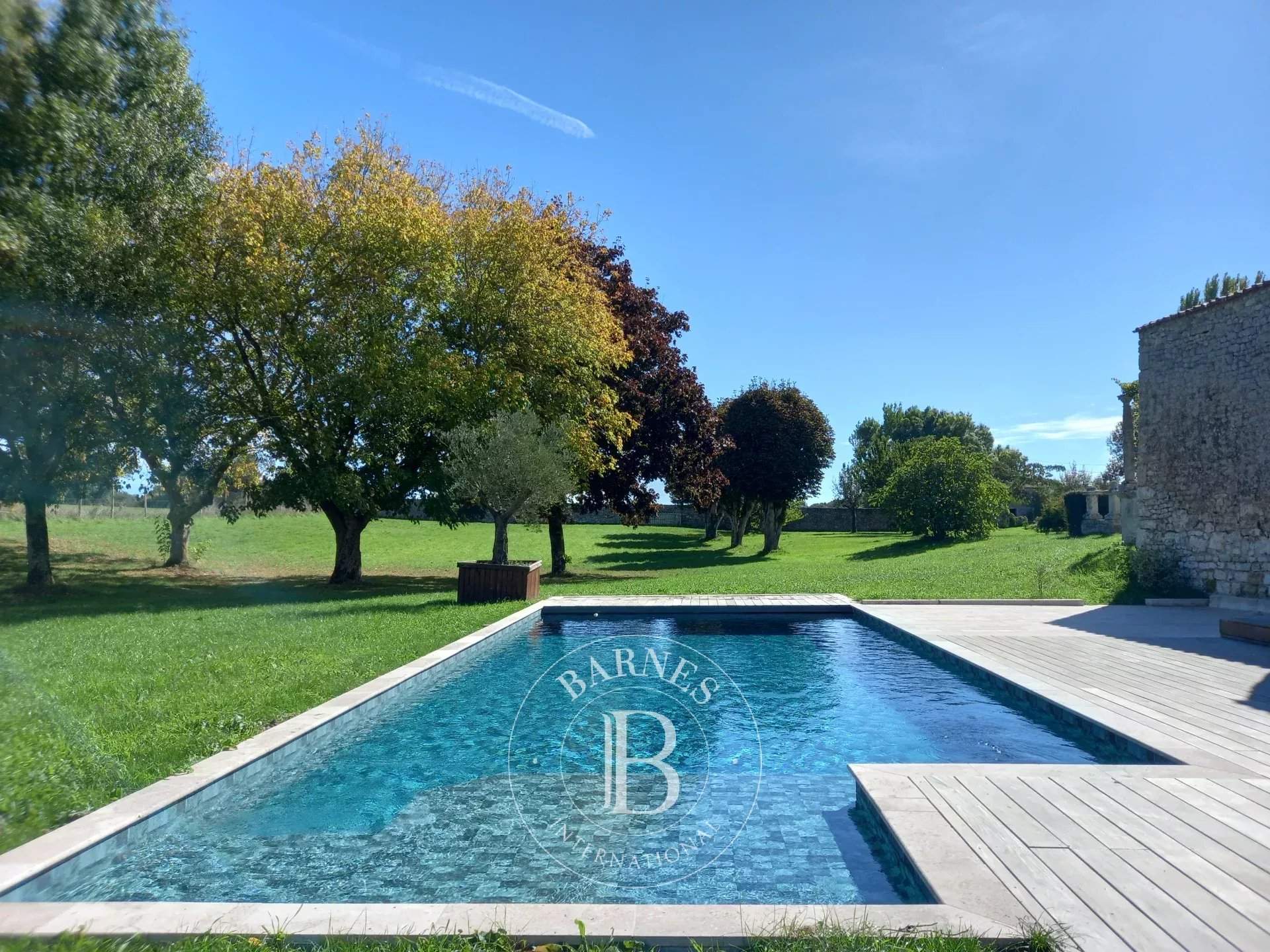 Royan  - Castle 21 Bedrooms - picture 7