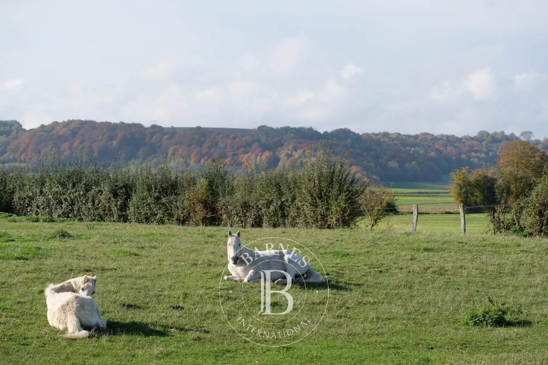 Ons-en-Bray  - Equestrian estate 4 Bedrooms - picture 12