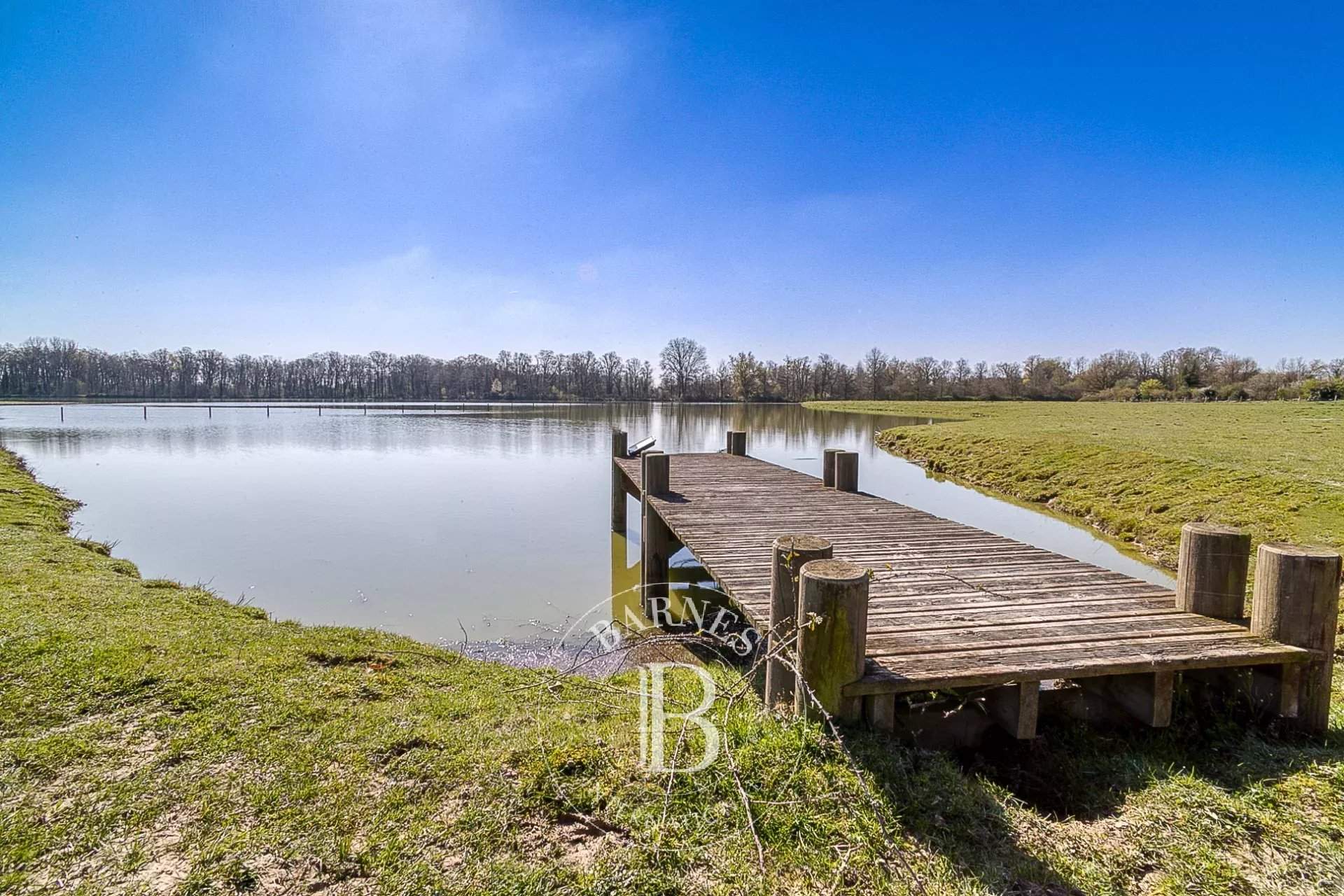 Villars-les-Dombes  - Domaine équestre 12 Pi&egrave;ces 7 Chambres - picture 7