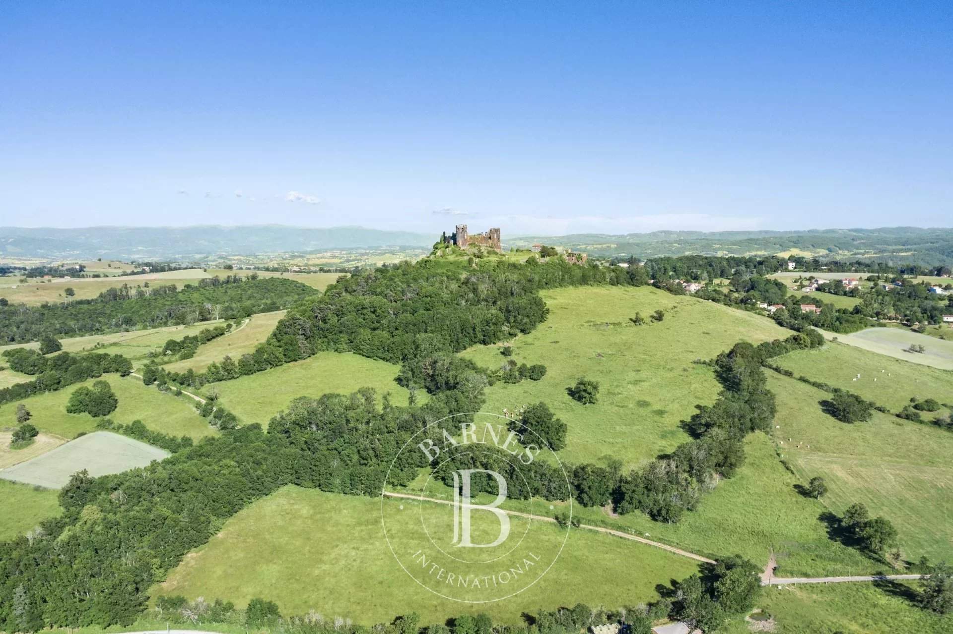 Mauzun  - Château  - picture 13