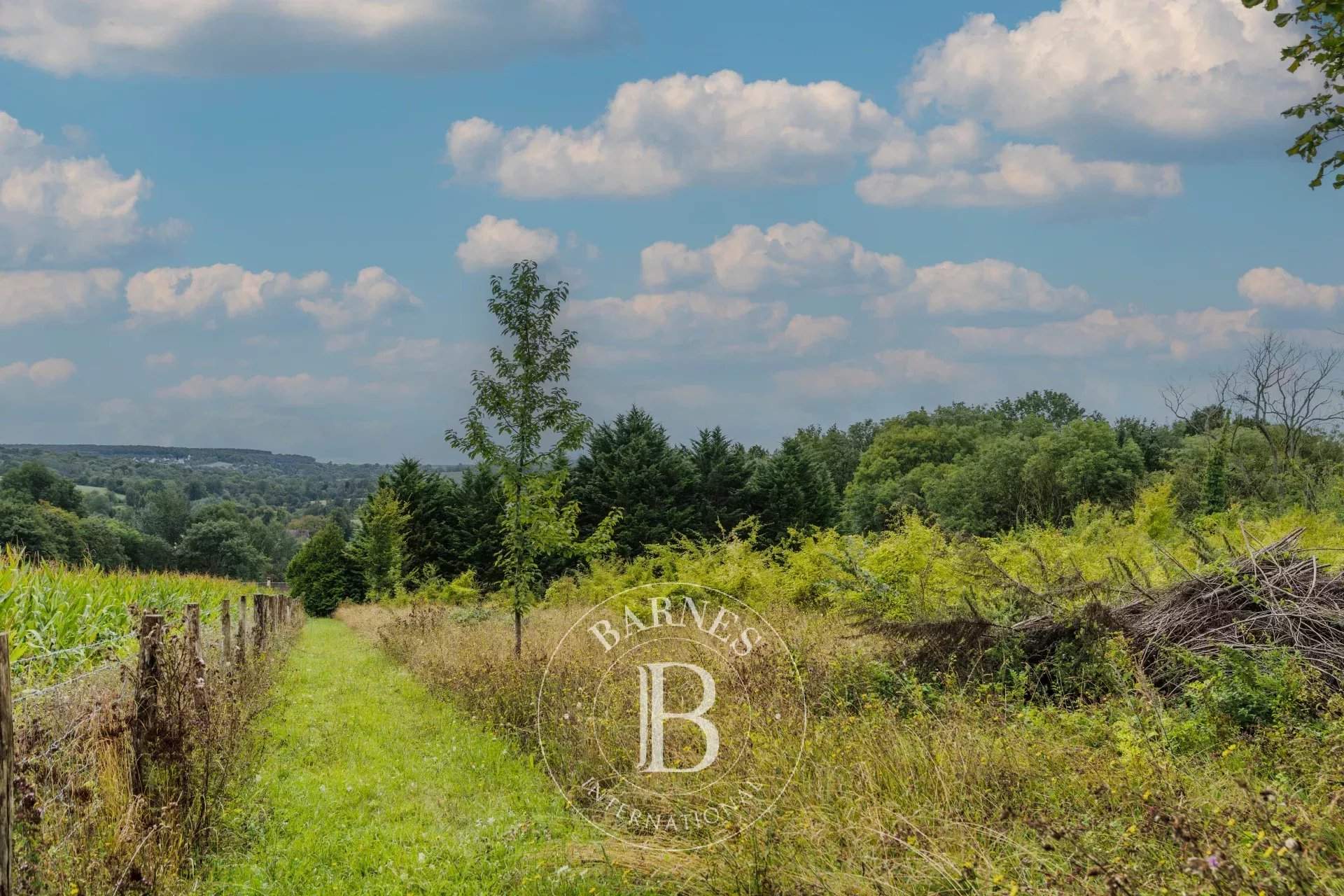 Chambors  - Finca  - picture 15