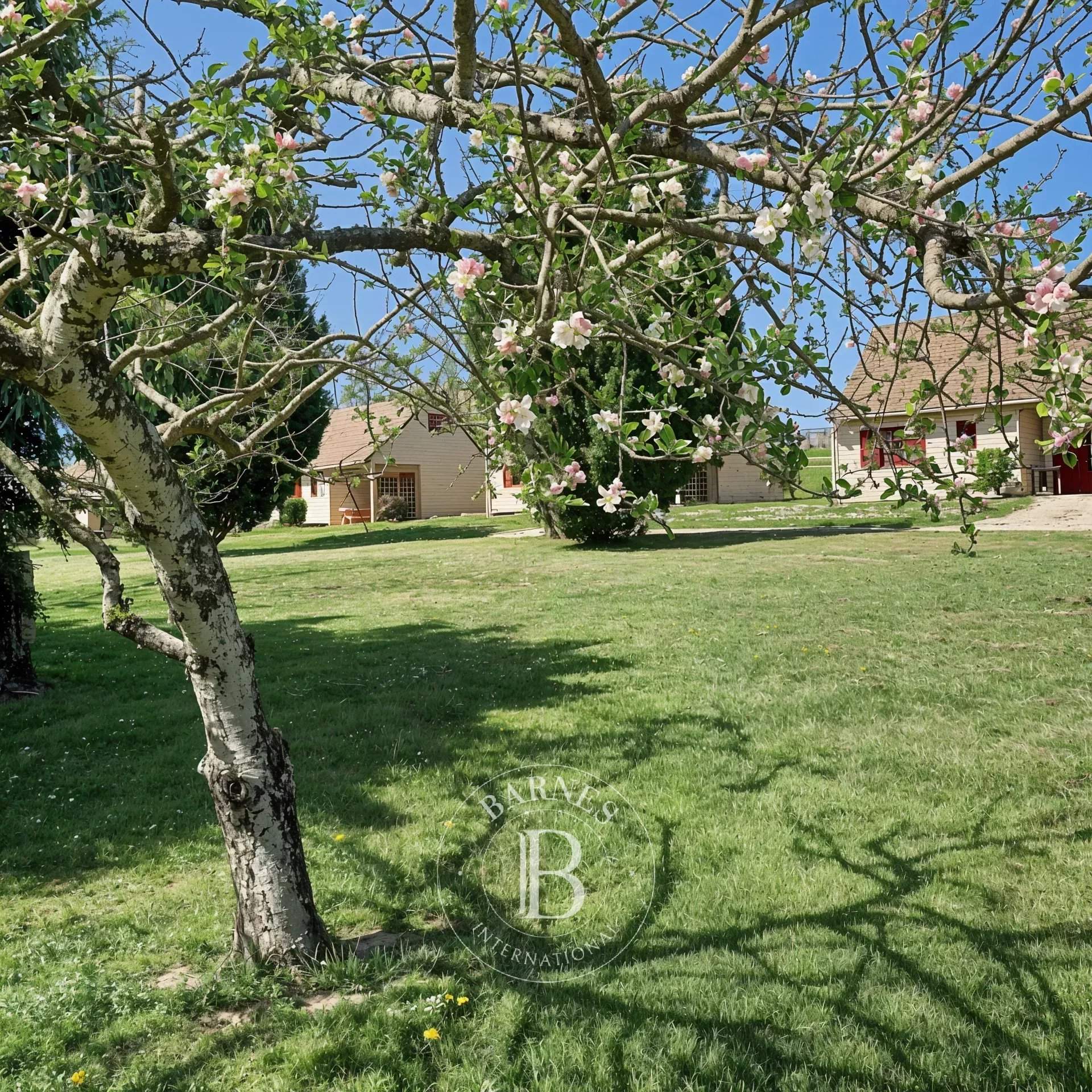 Arnac-Pompadour  - Propriété  - picture 12