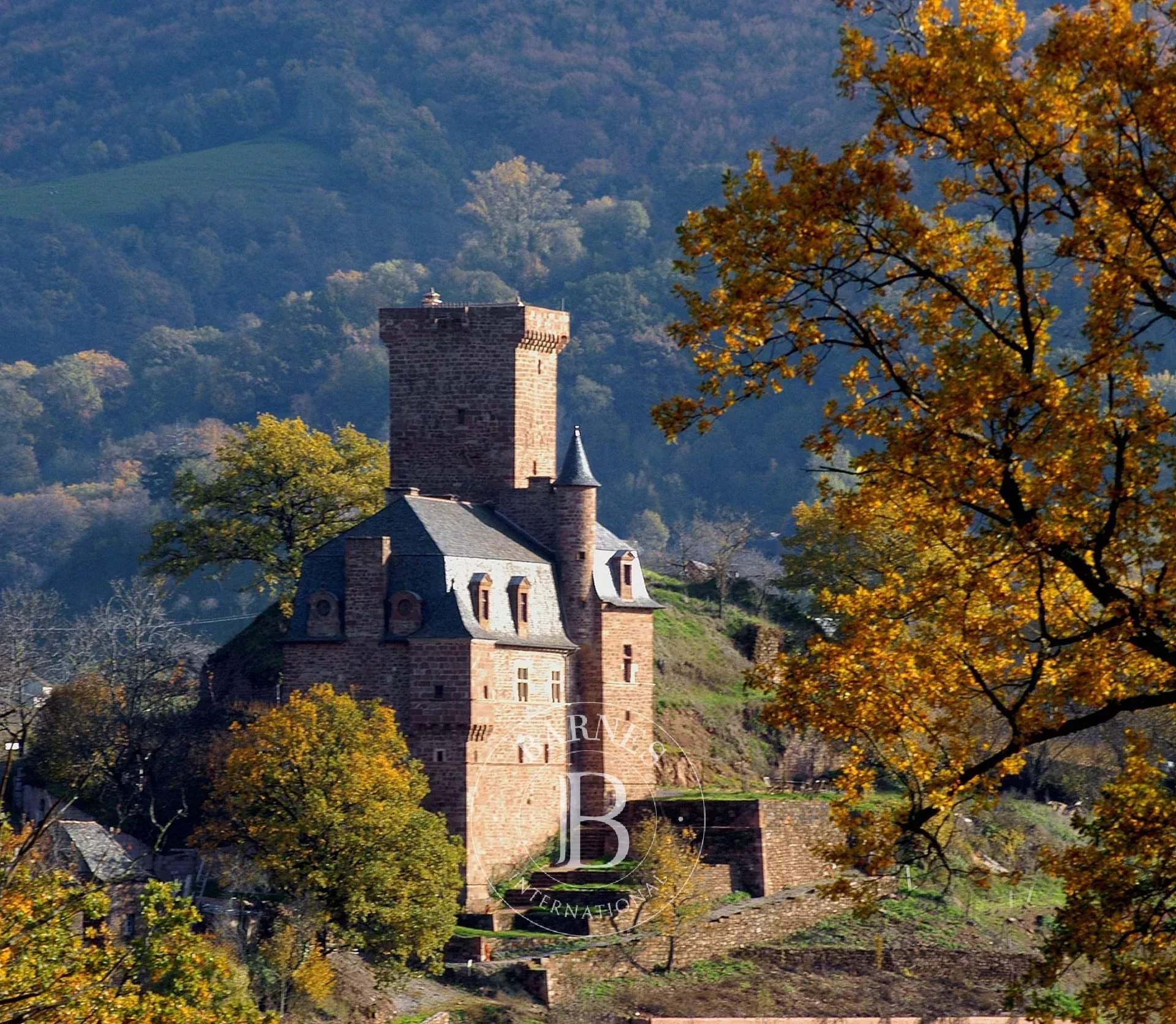 Rodez  - Château 12 Pi&egrave;ces 6 Chambres - picture 19