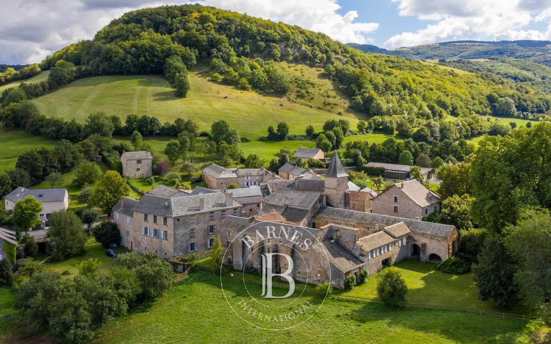Sévérac d'Aveyron  - Propriété 14 Pi&egrave;ces 10 Chambres - picture 11