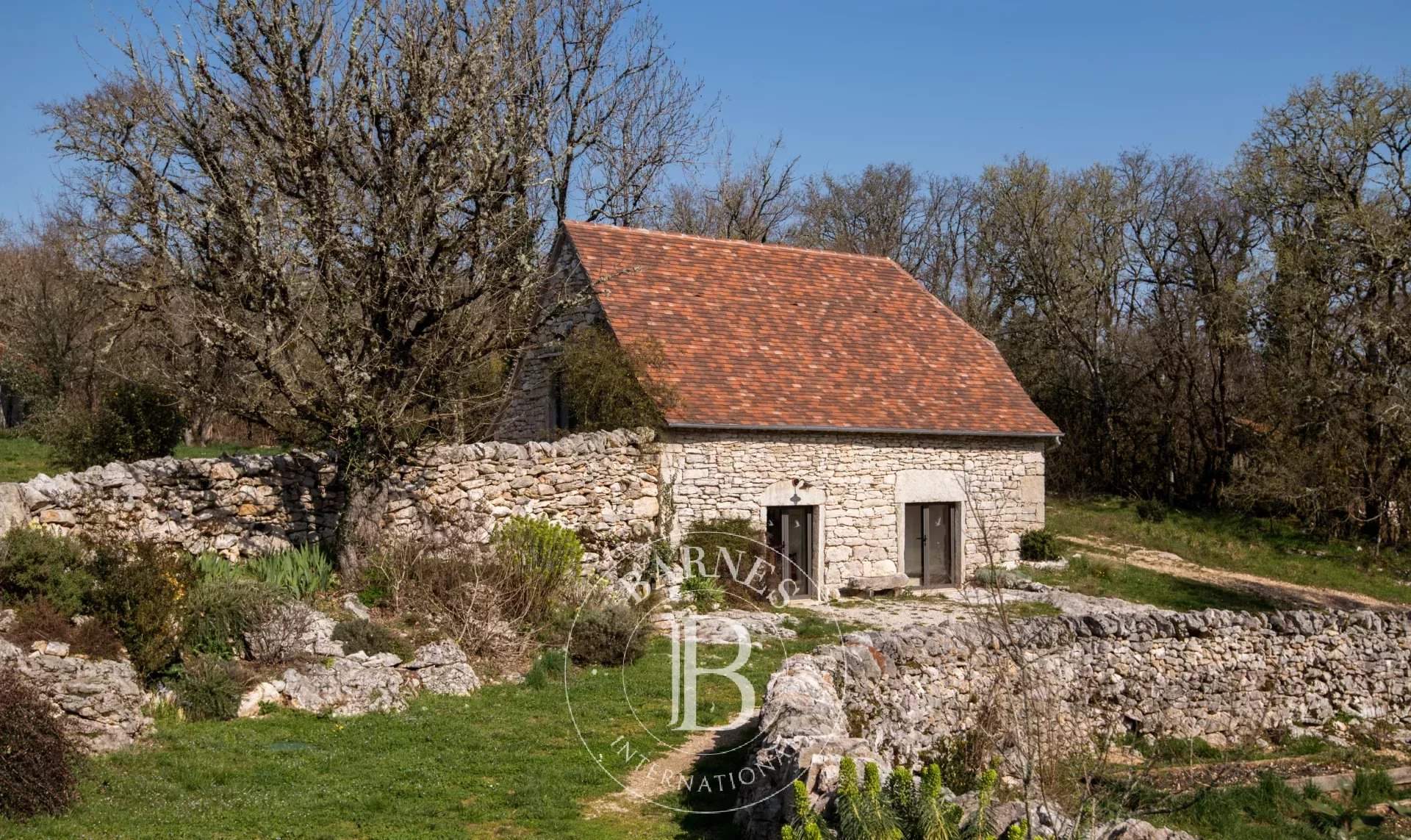 Figeac  - Propriété 25 Pi&egrave;ces - picture 8