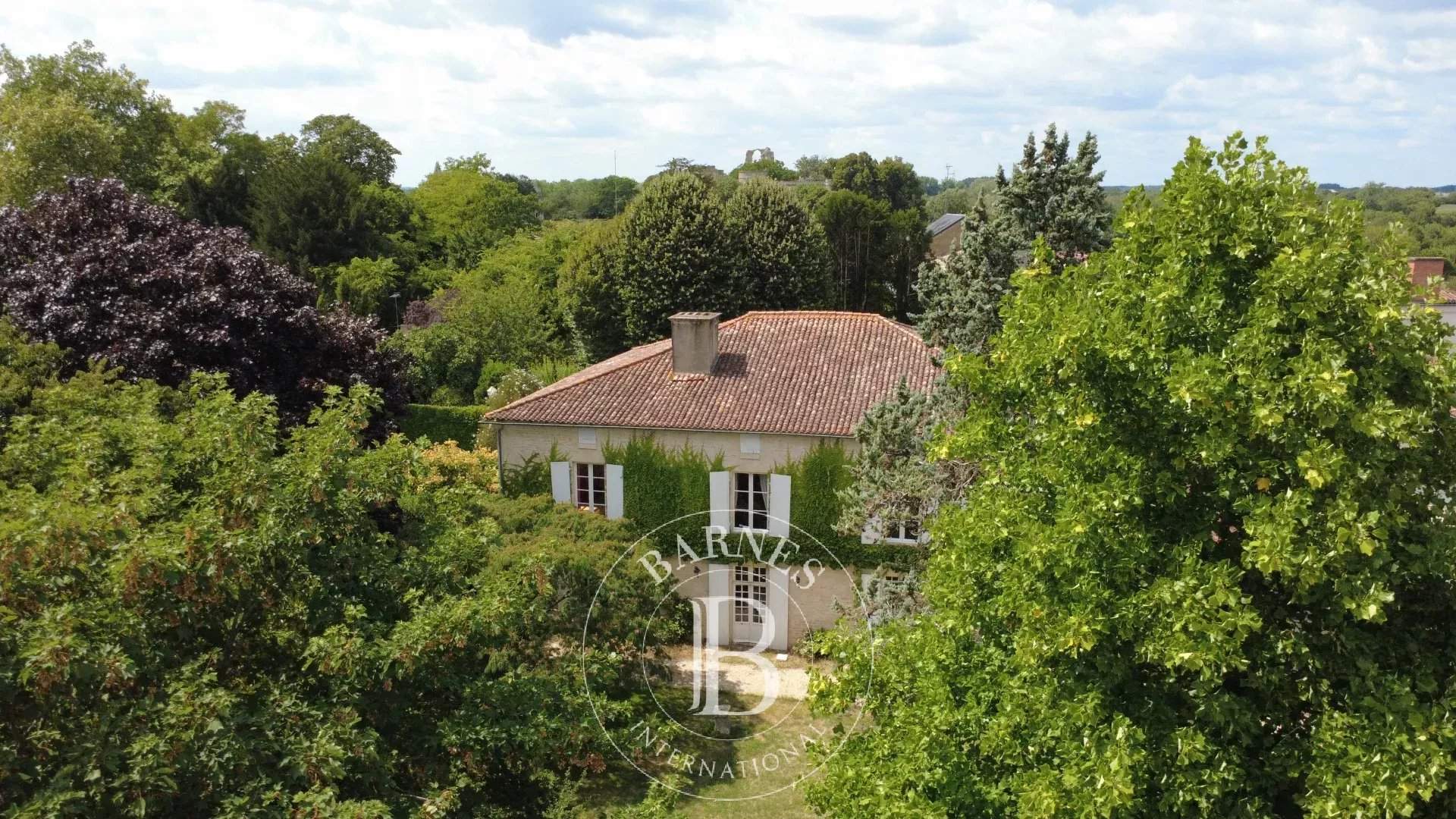 Maillezais  - Manor house 6 Bedrooms - picture 2