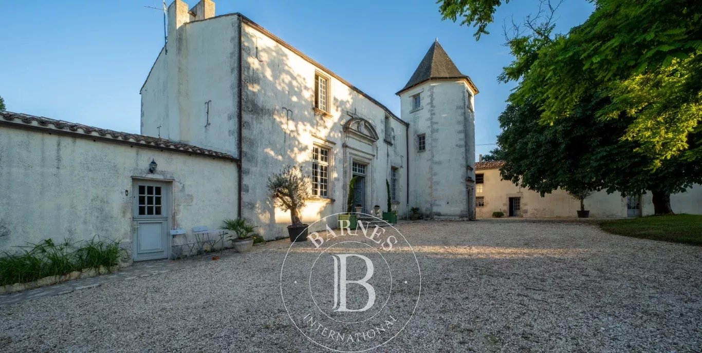 Royan  - Castle 21 Bedrooms - picture 2