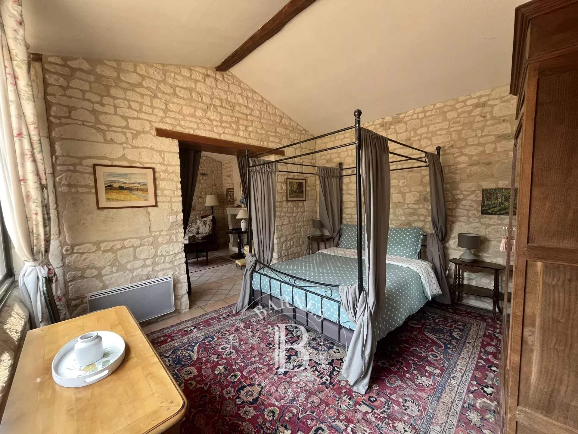 Chinon  - Château 17 Pi&egrave;ces 9 Chambres - picture 19