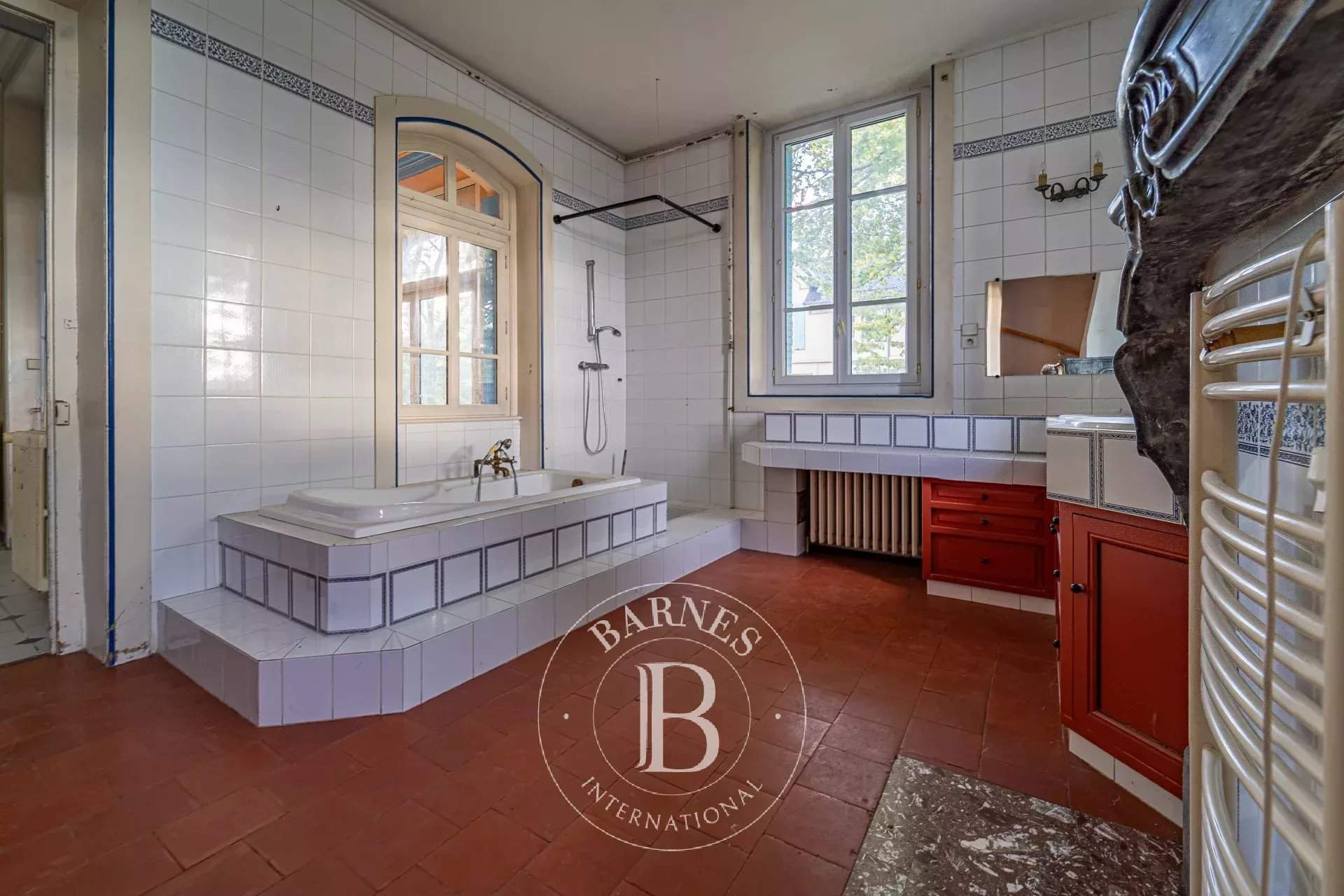 Eyzin-Pinet  - Castle  - picture 7