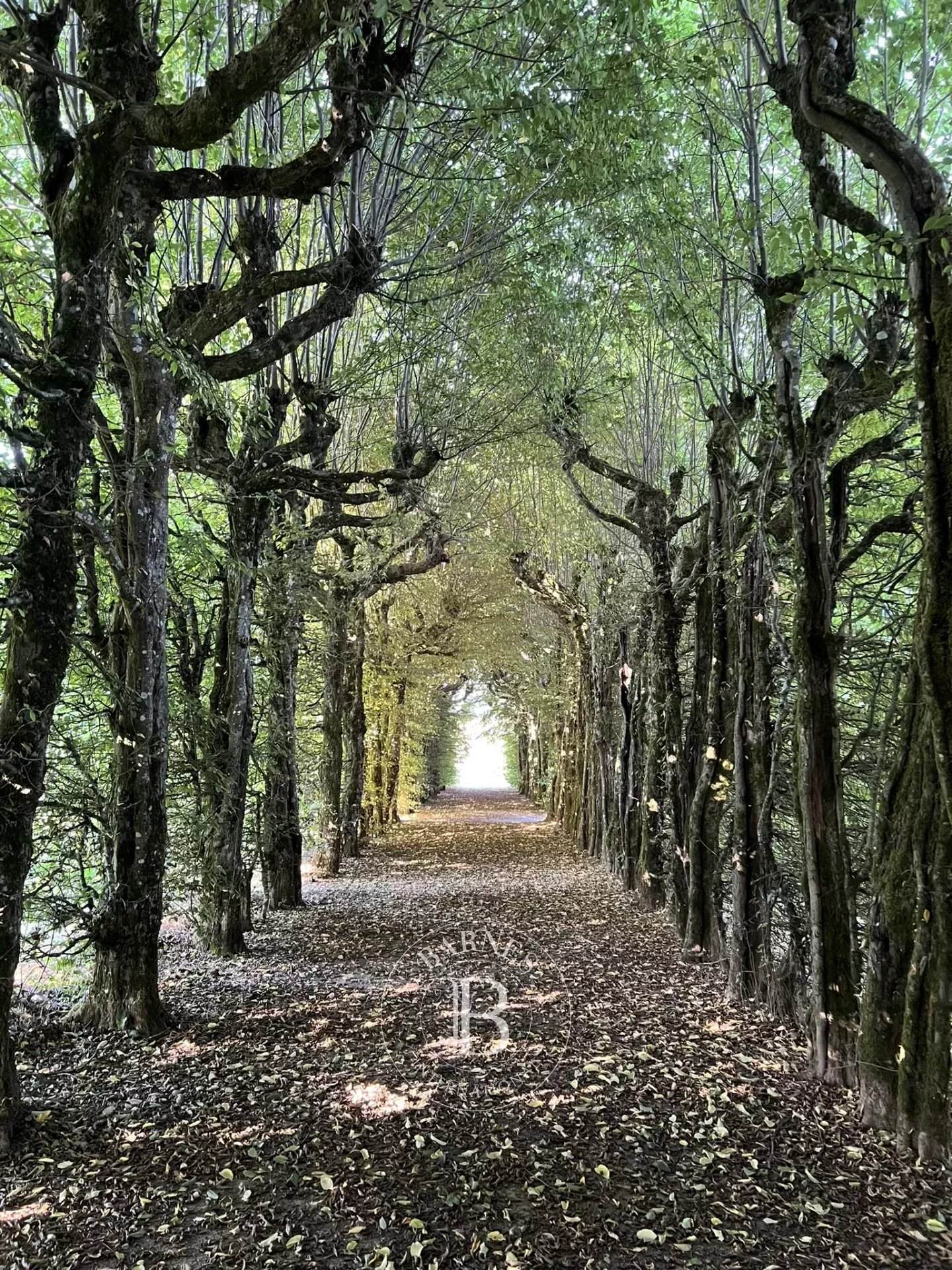 Pouzauges  - Manoir 10 Pi&egrave;ces 5 Chambres - picture 20