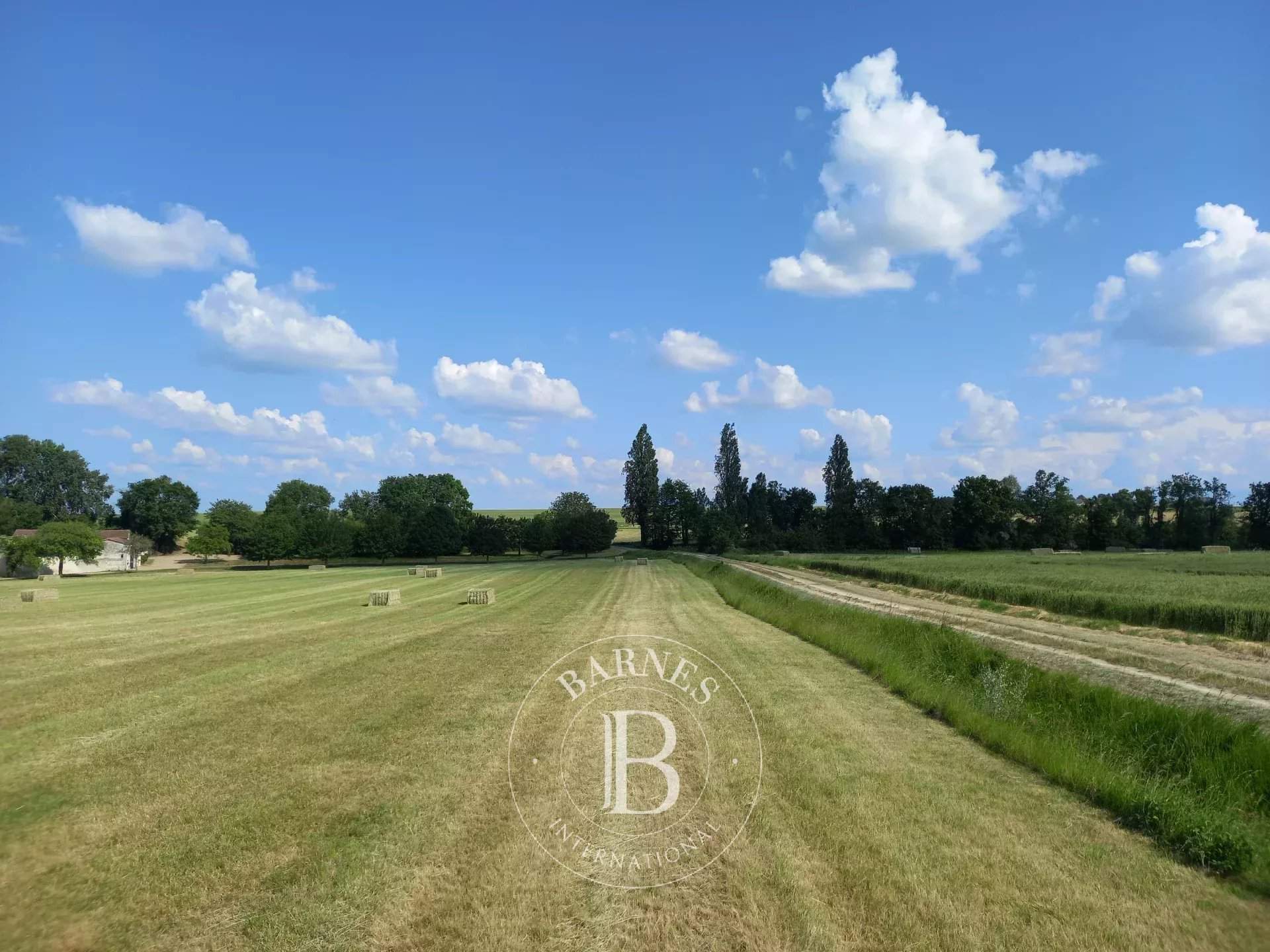 Richelieu  - Propriété 15 Pi&egrave;ces 10 Chambres - picture 16