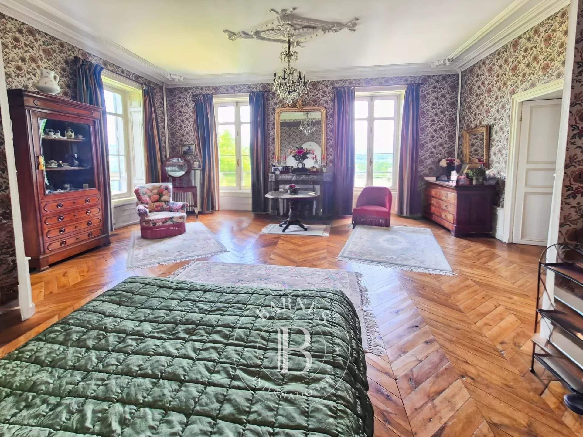 Néronde-sur-Dore  - Propriété 14 Pi&egrave;ces 9 Chambres - picture 14