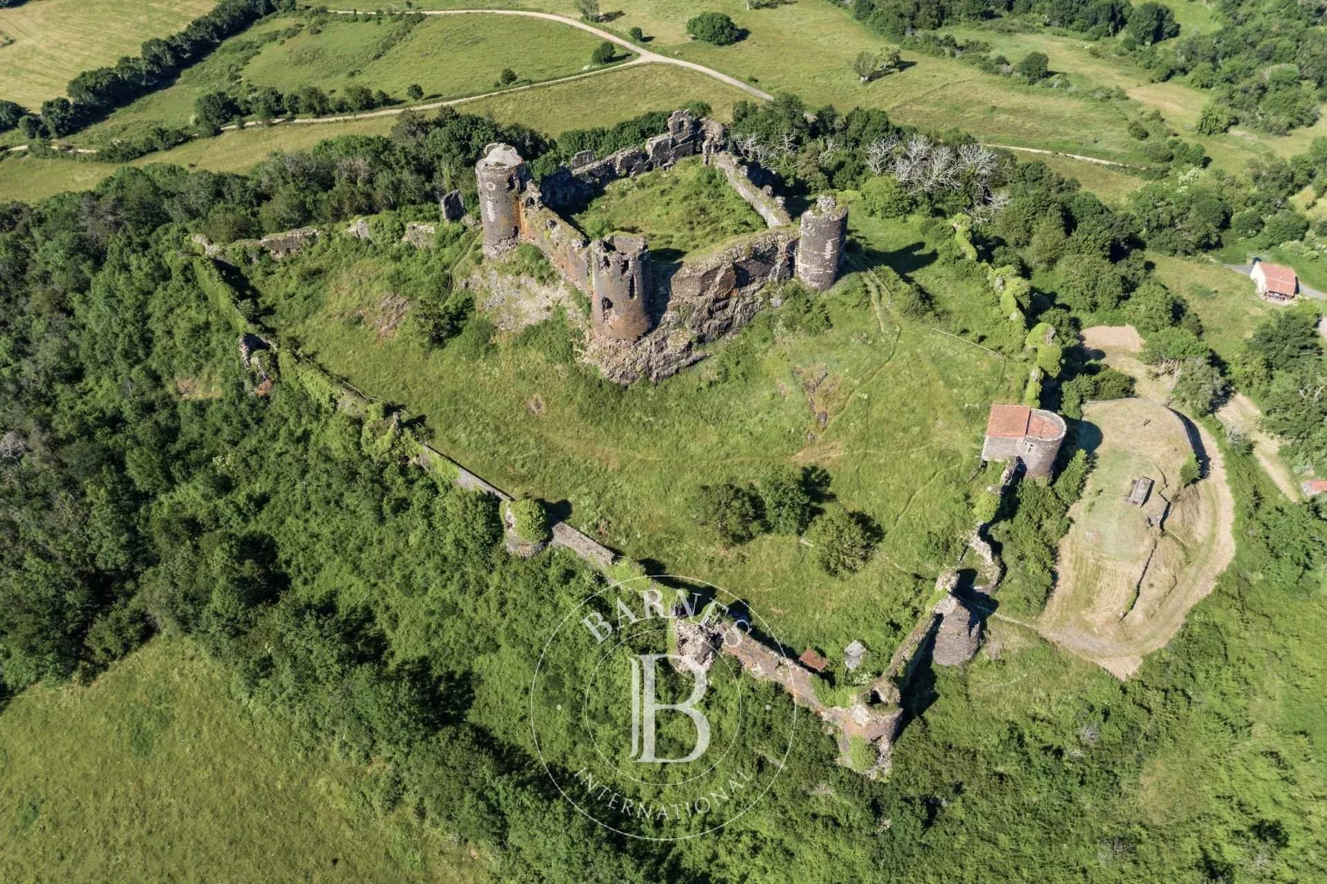 Mauzun  - Château  - picture 12