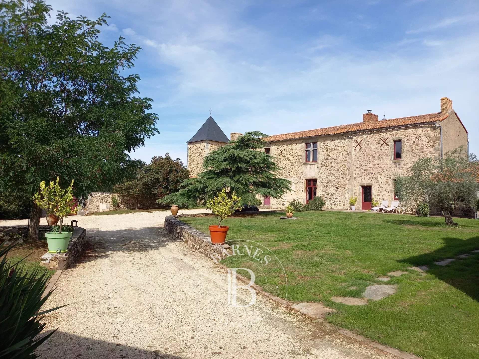 Thouars  - Manoir 22 Pi&egrave;ces 14 Chambres - picture 12